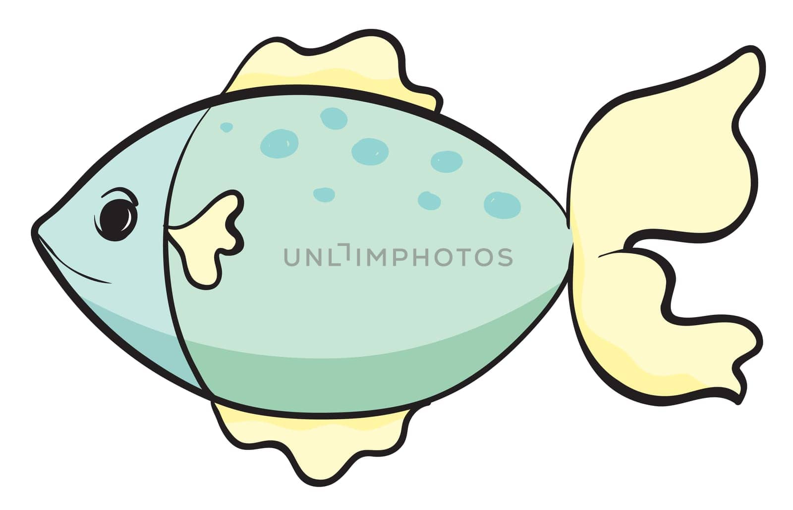 detailed illustration of a fish on a white background