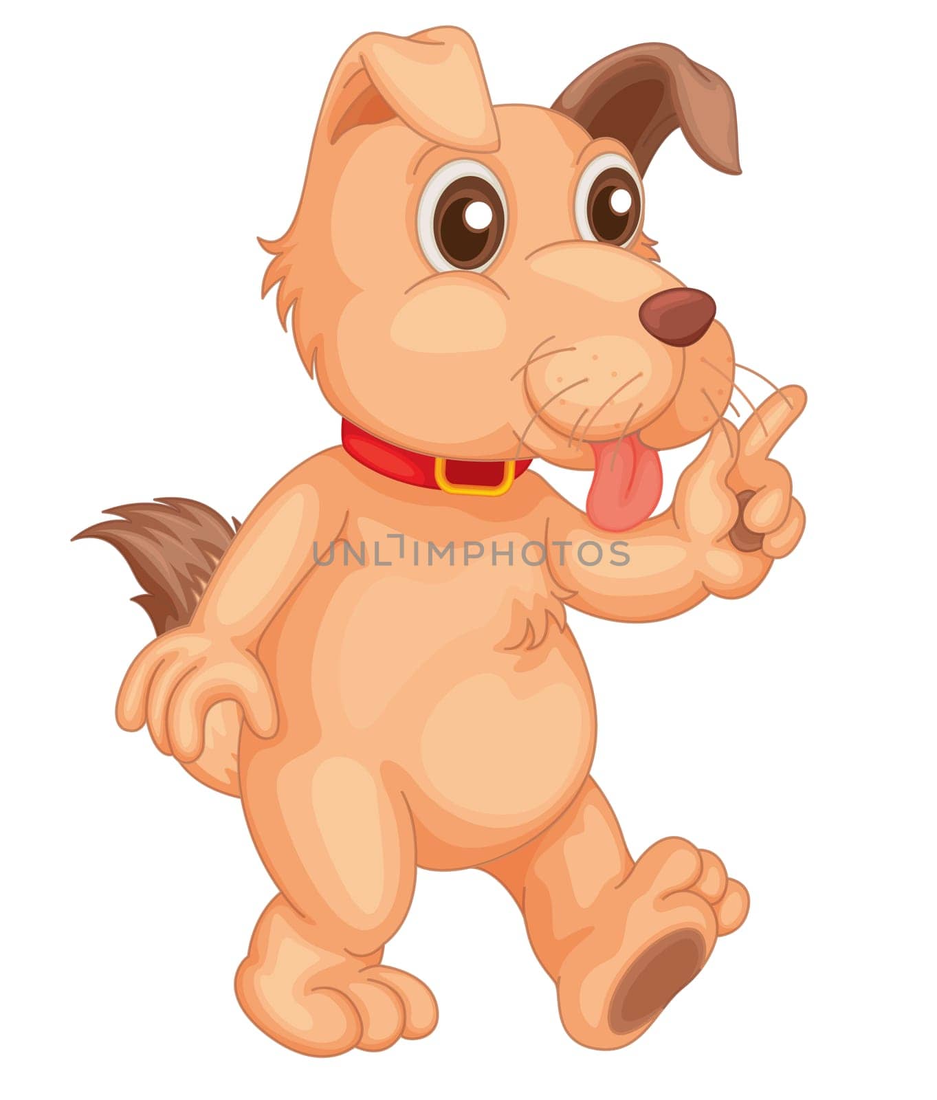 Cool confident dog on a white background