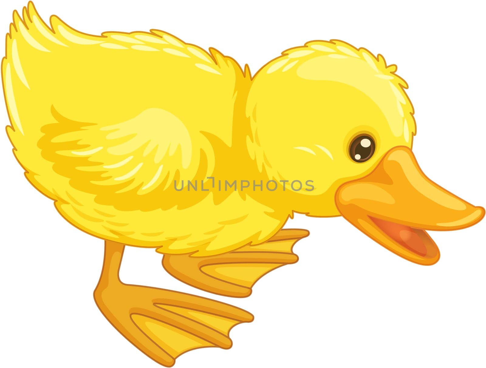Illustration of an isolated duck