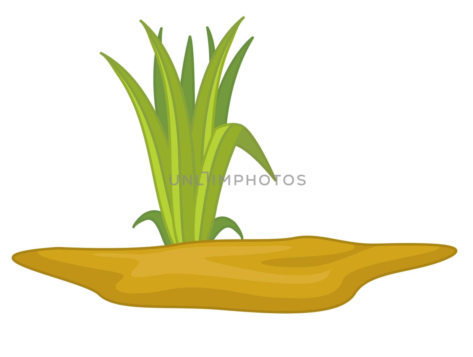 an illustration of a plant in soil