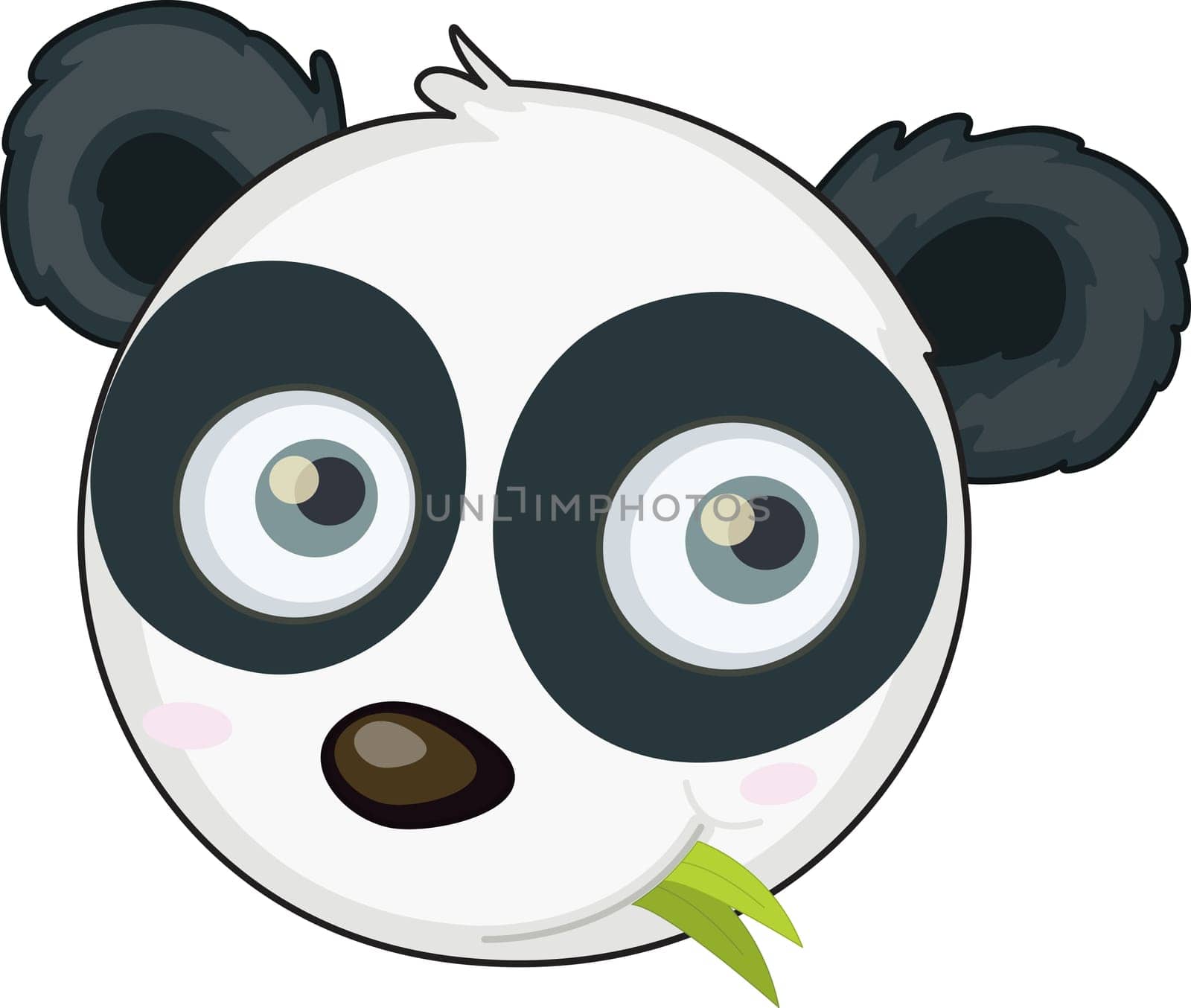 illustration of panda face on white