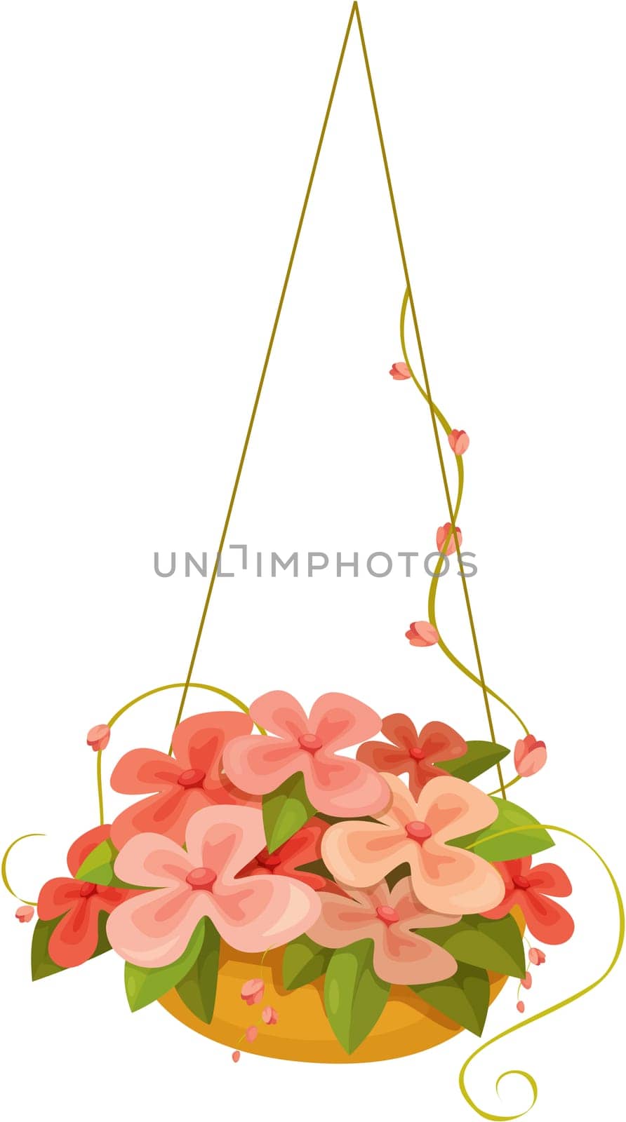 Illustration of a hanged flower basket on white background