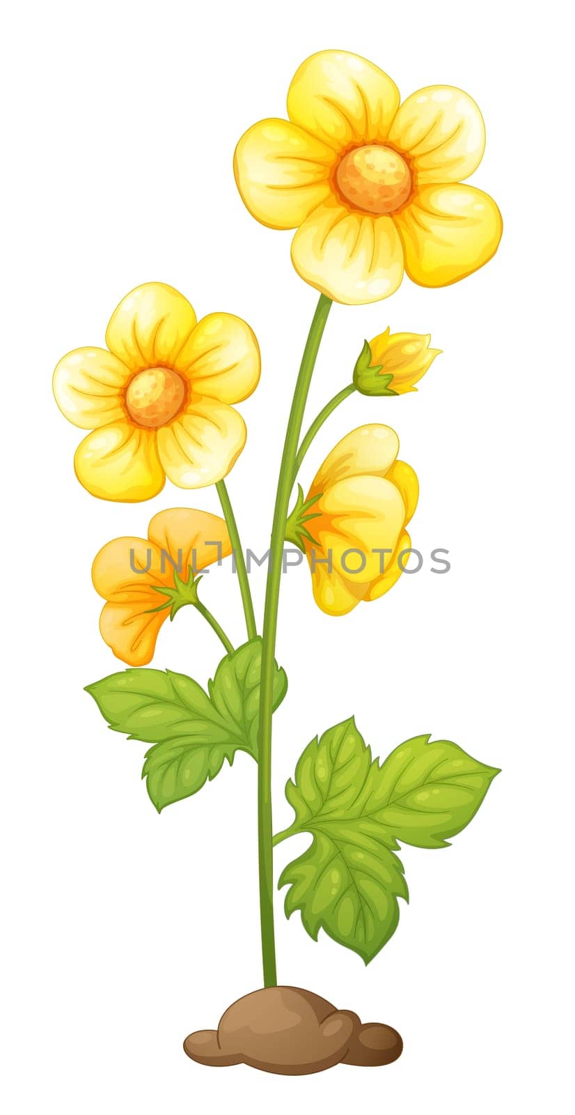 Illustration of isolated flower in soil