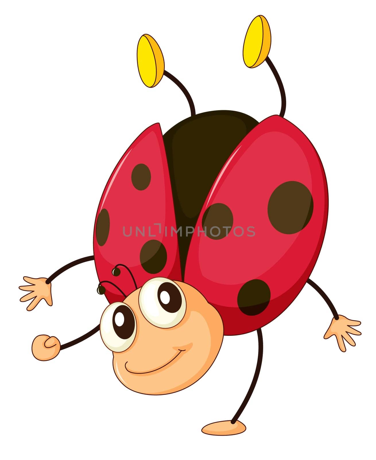 illustration of a comical ladybird