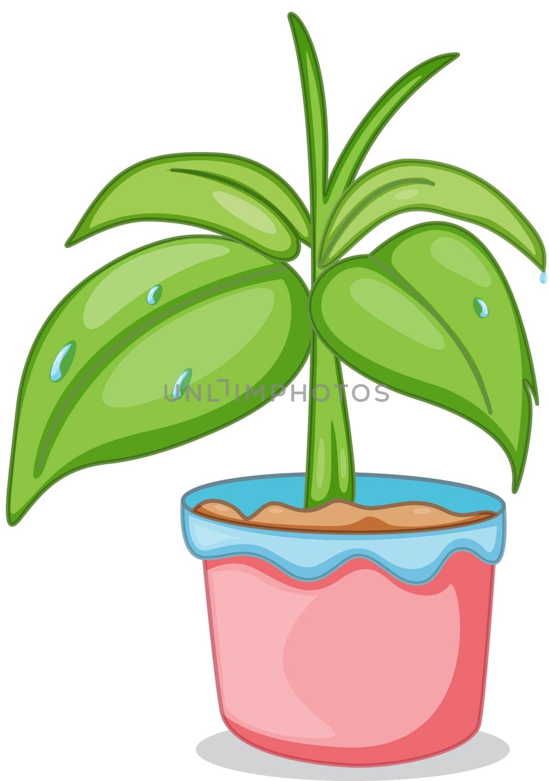 Illustration of a pot with a plant on a white background