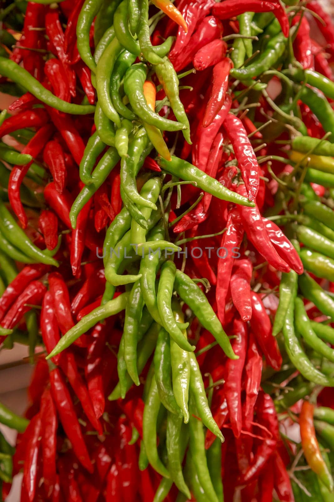 chilli, Sunny in the Boqueria market Barcelona Spain, Selective focus.
