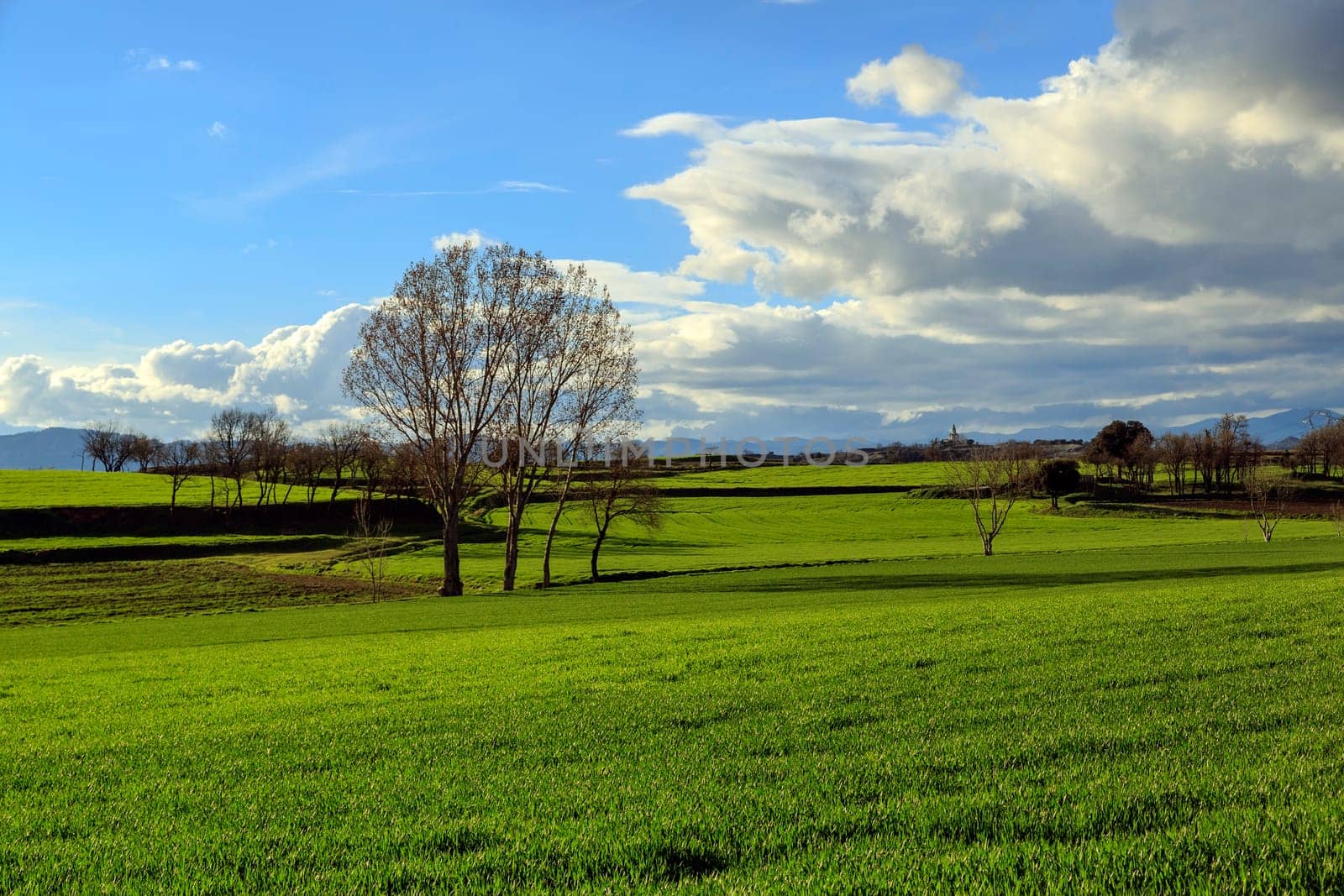 Catalan countryside, with blue skies and clean, early spring. Spain
