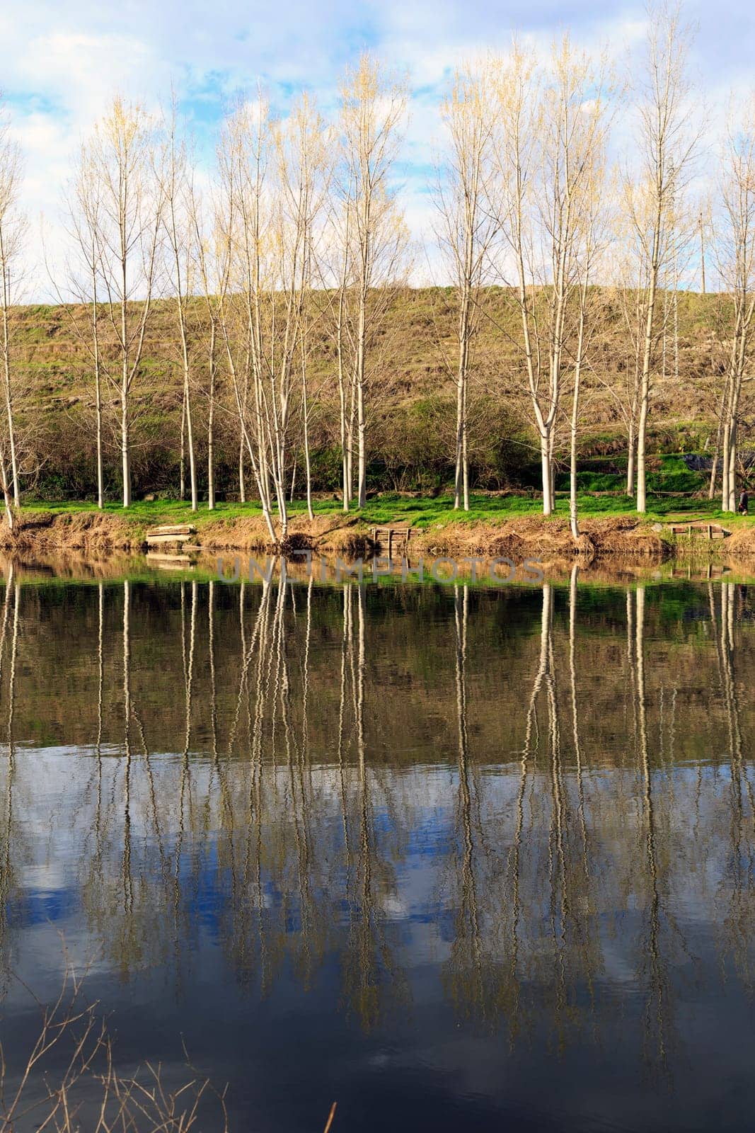 river Ter, reflections of the trees in its path by Roda, Catalonia, Spain