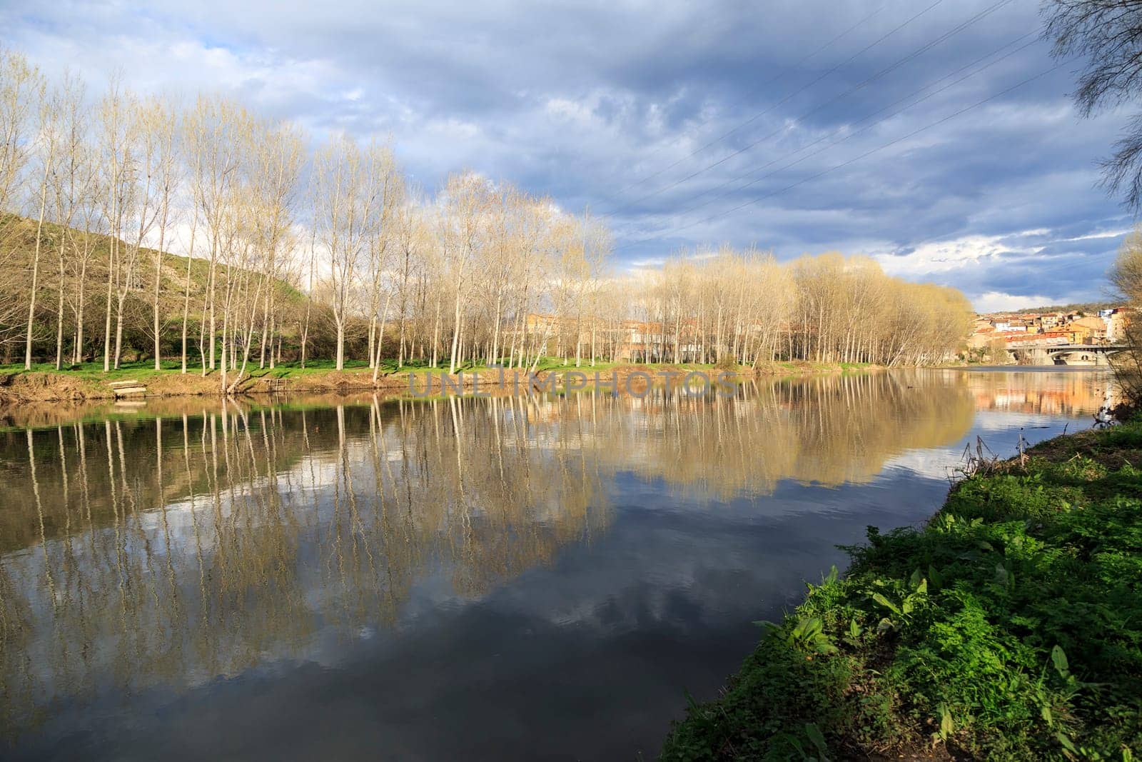 river Ter, reflections of the trees in its path by Roda, Catalonia, Spain