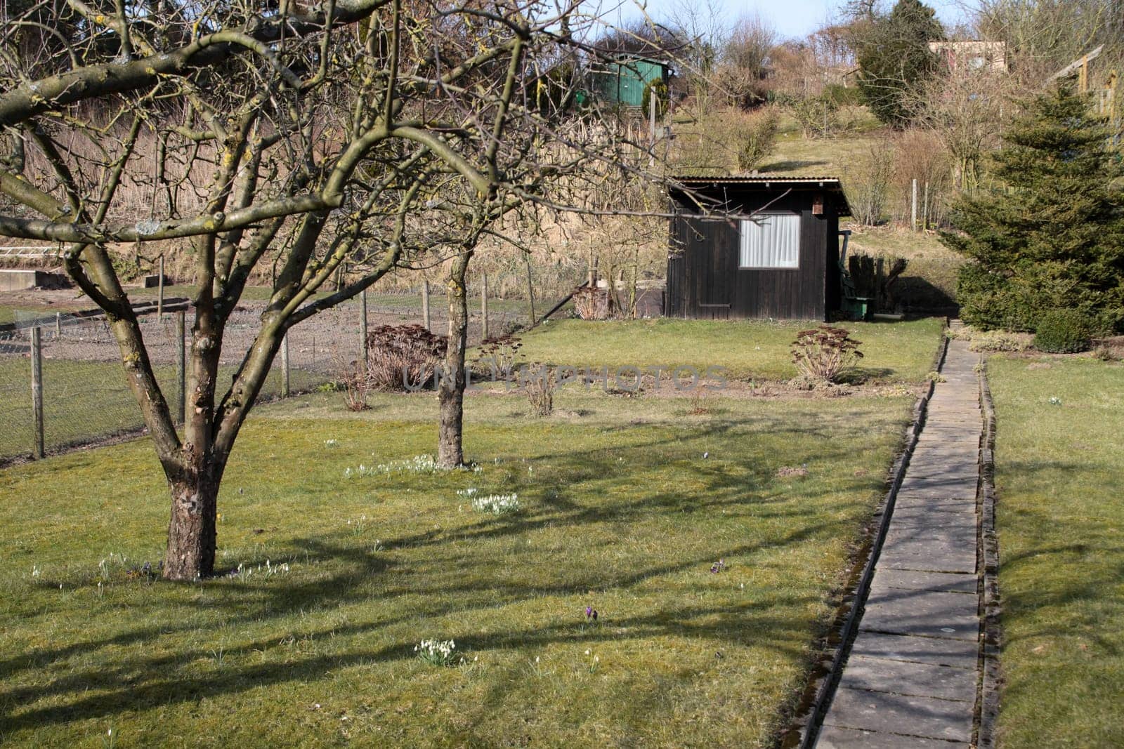 Allotment garden with arbor