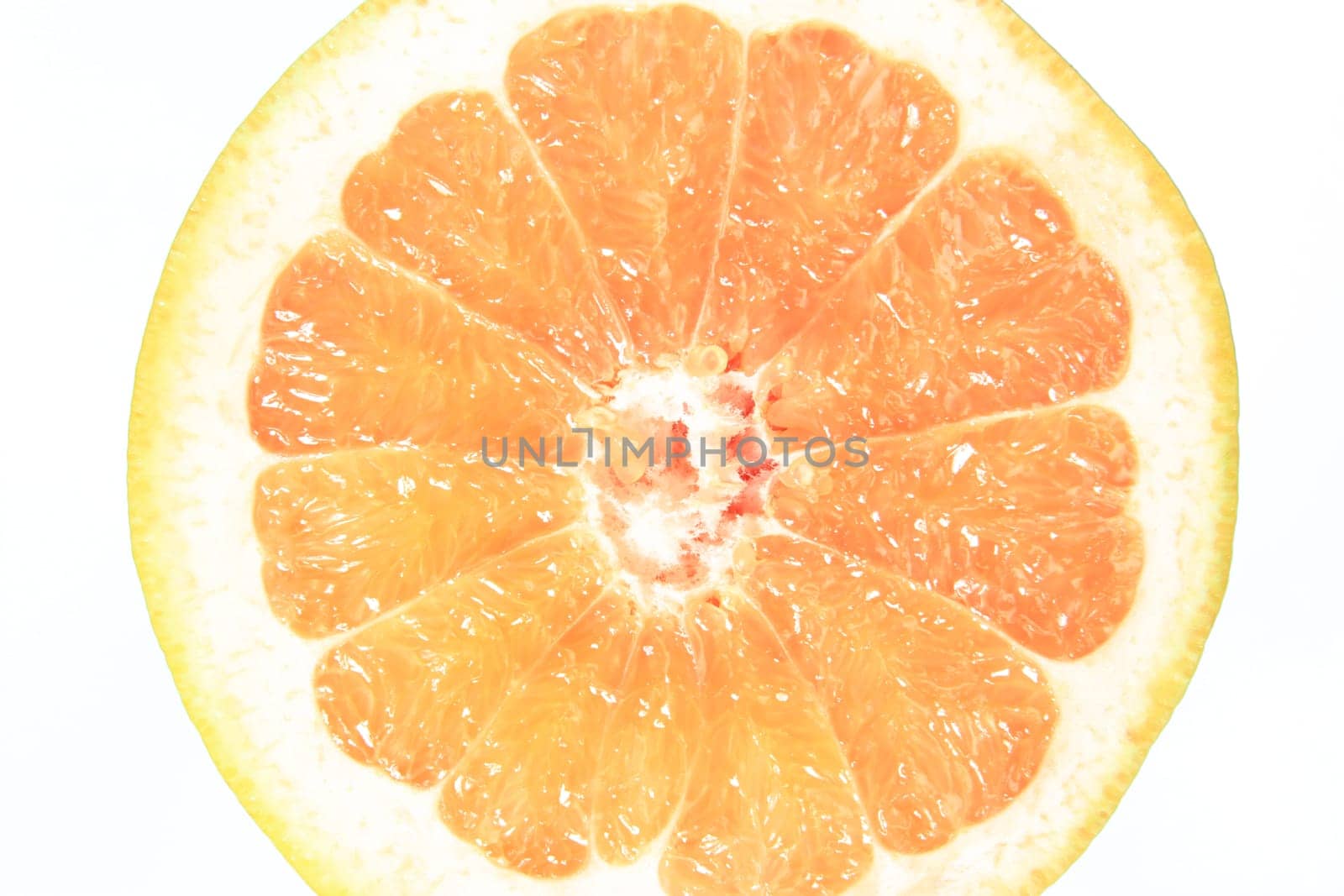 Halved grapefruit,exempt (Citrus x aurantium/ Citrus paradisi)