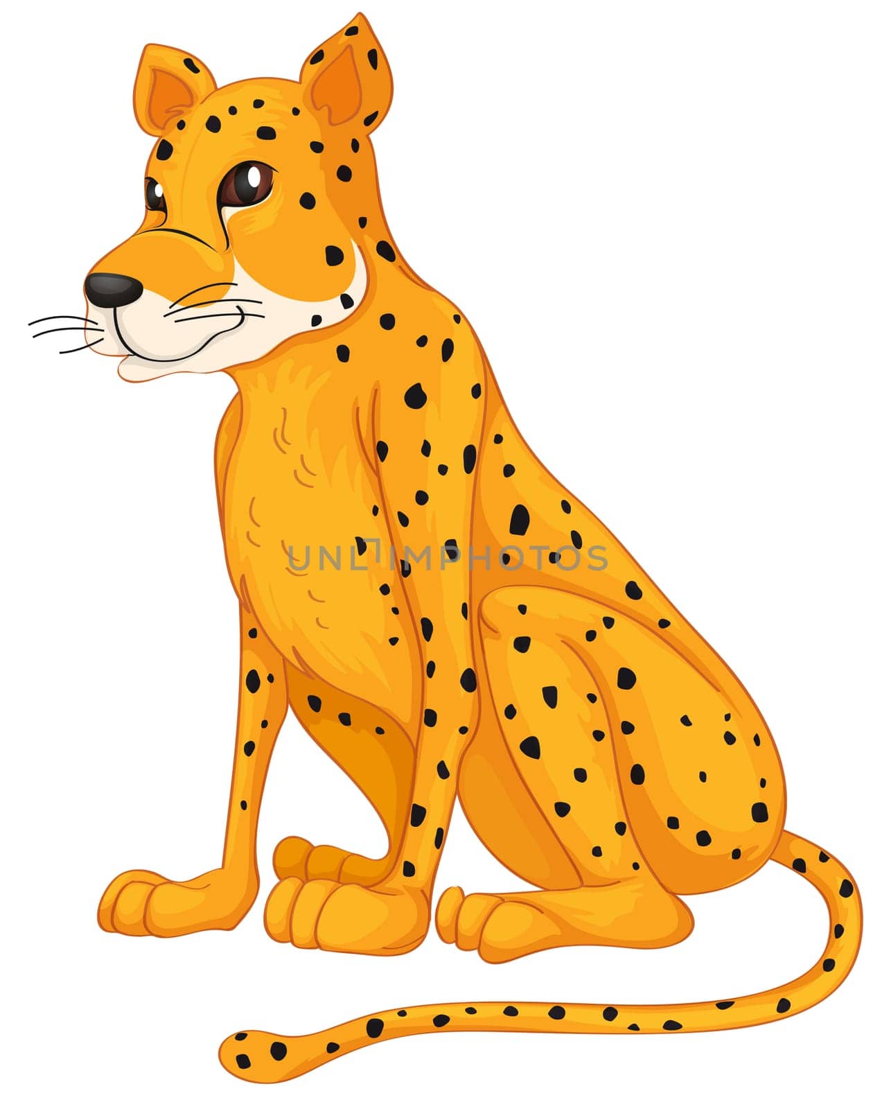 illustration of a cheetah on a white background