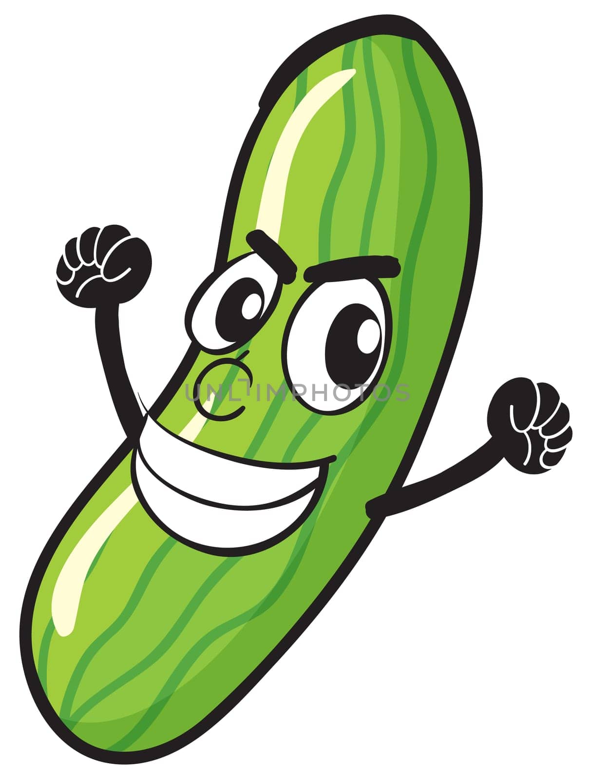 illustration of cucumber on a white background