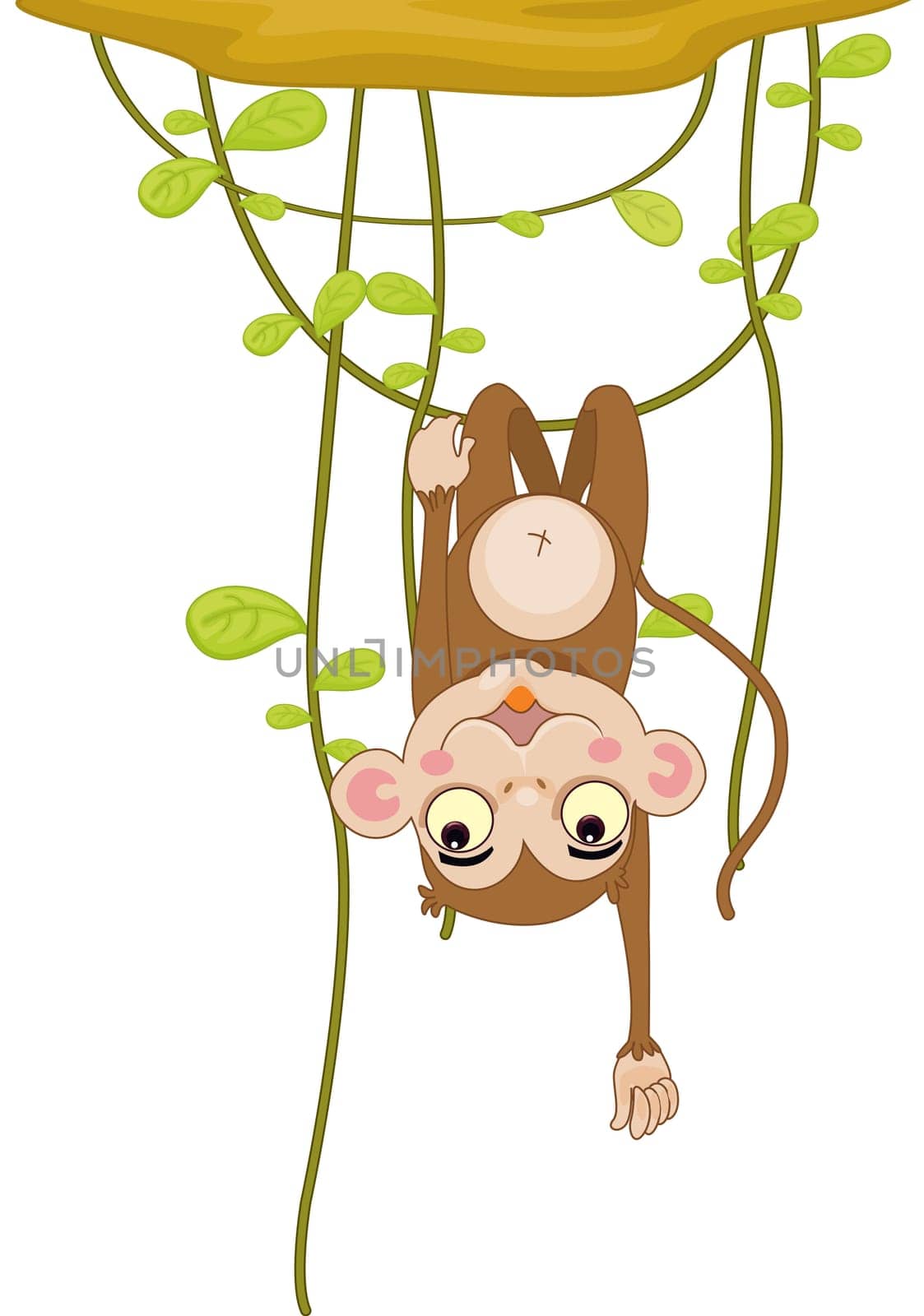 Illustration of  a cartoon monkey on white