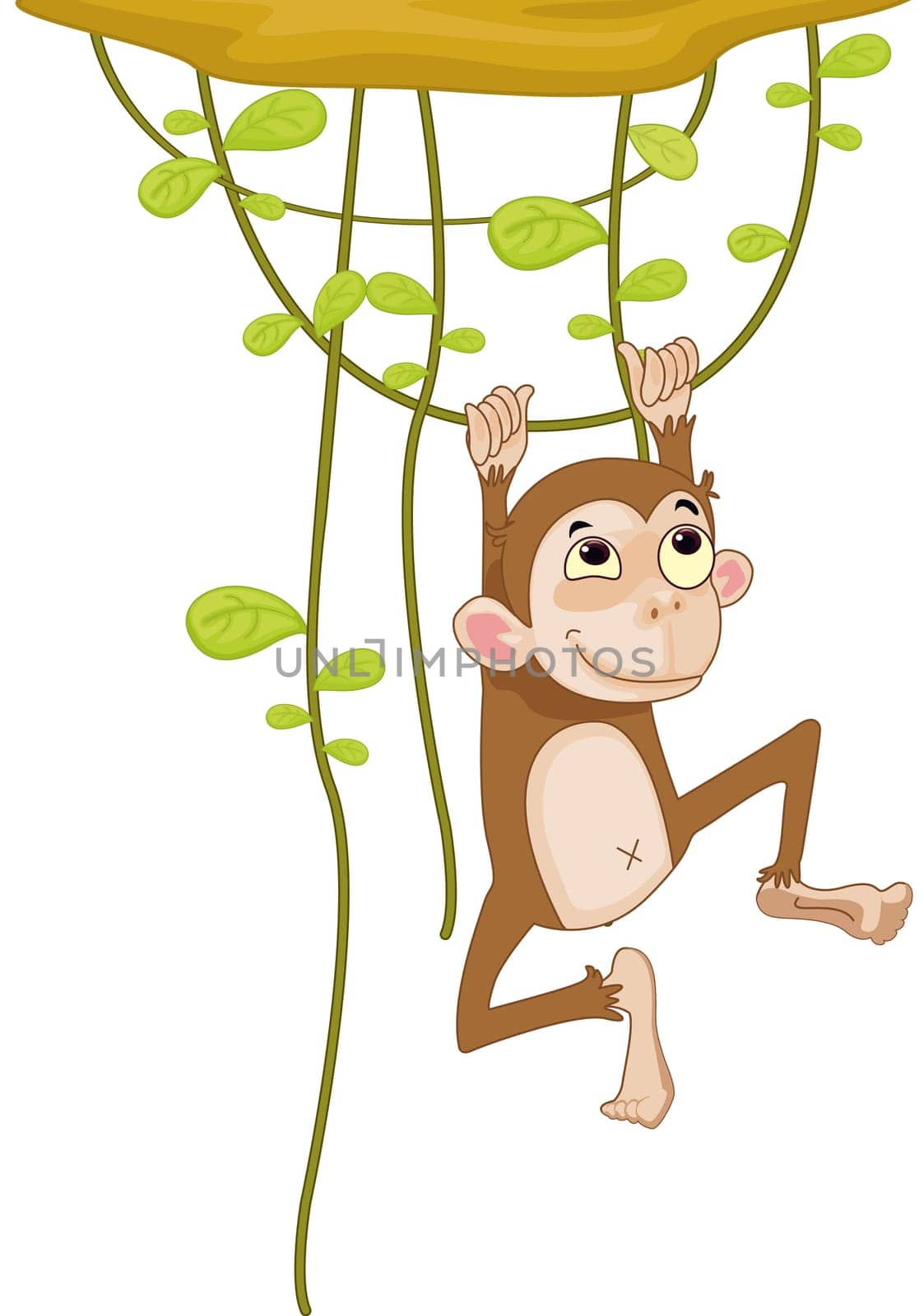 Illustration of a monkey on a vine