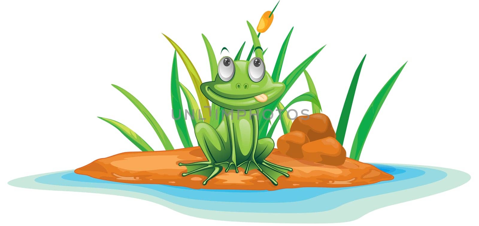 illustration of frog on island