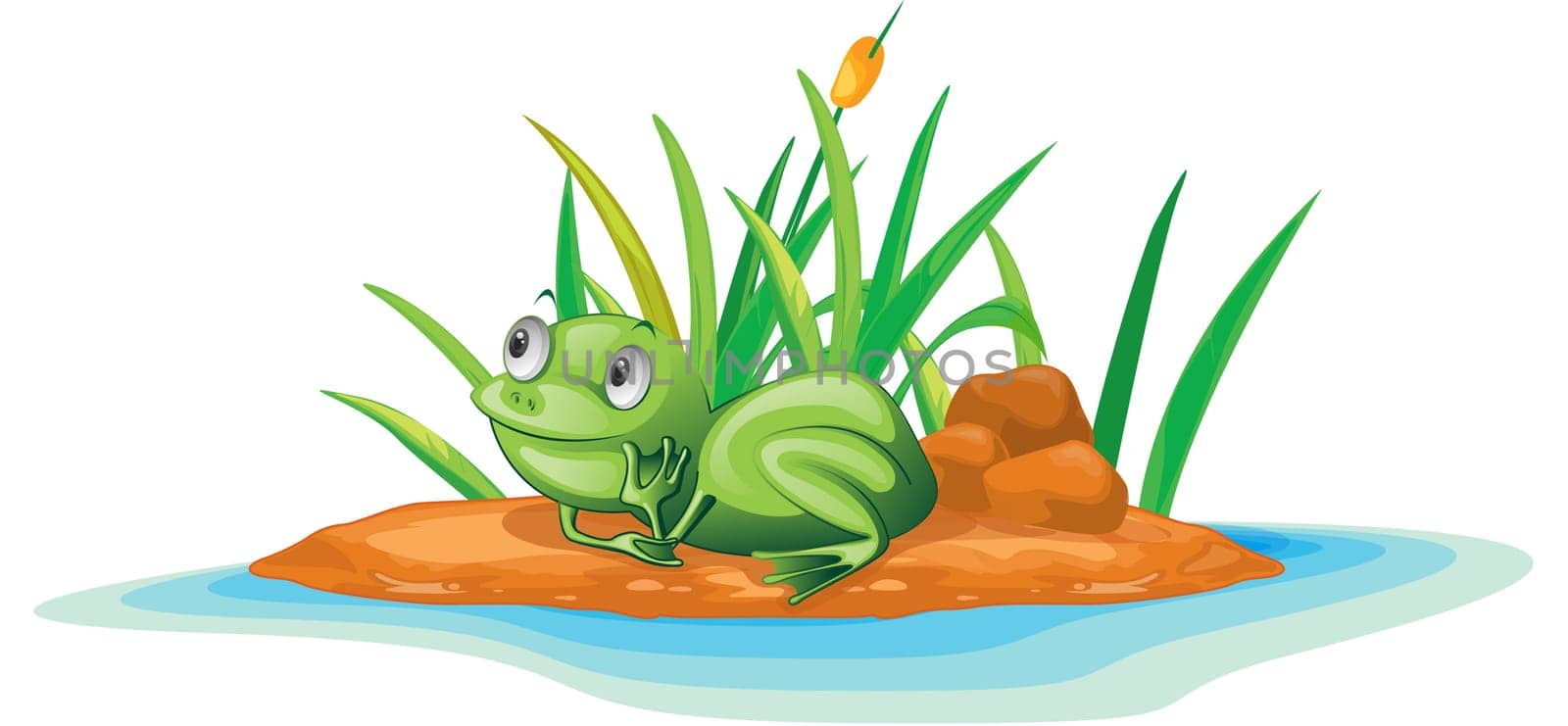 illustration of frog on island