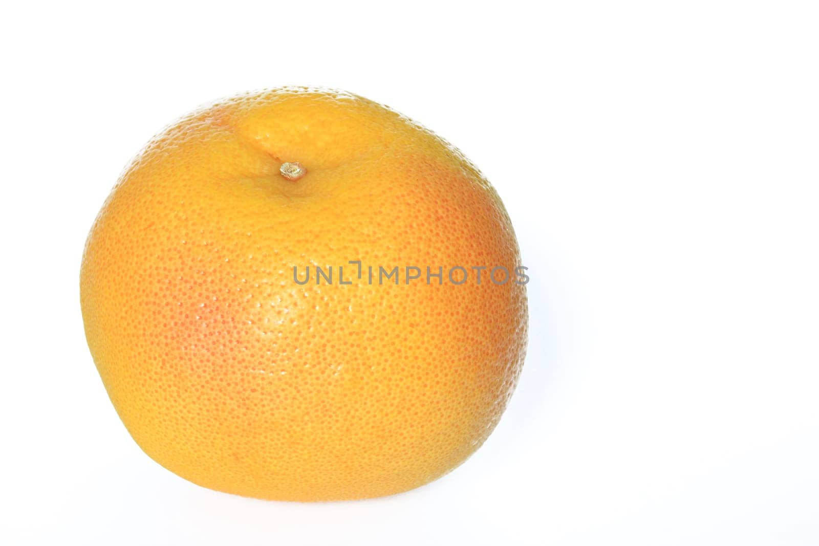 Grapefruit exempt (Citrus x aurantium/ Citrus paradisi)