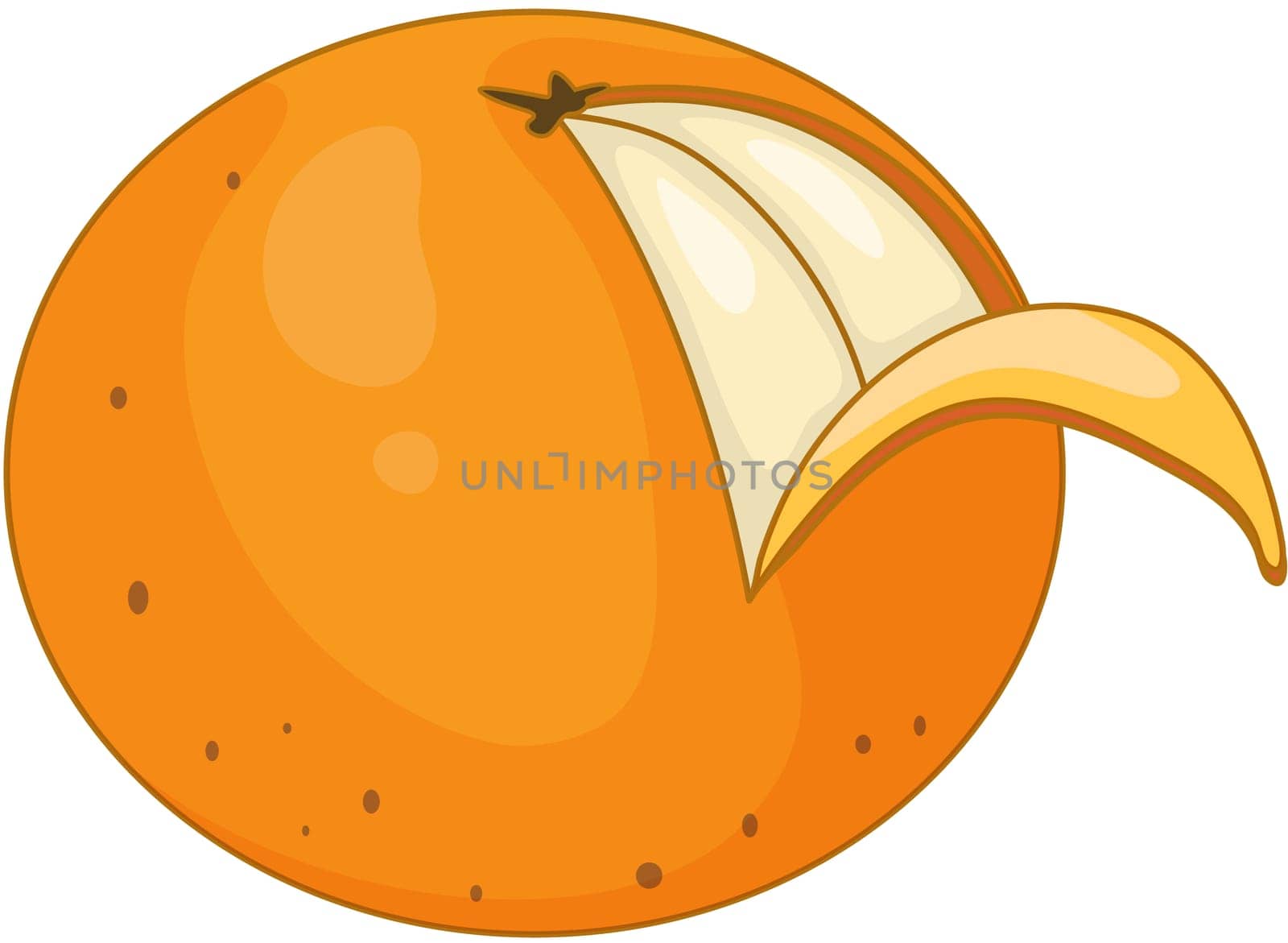 illustration of fruit on white