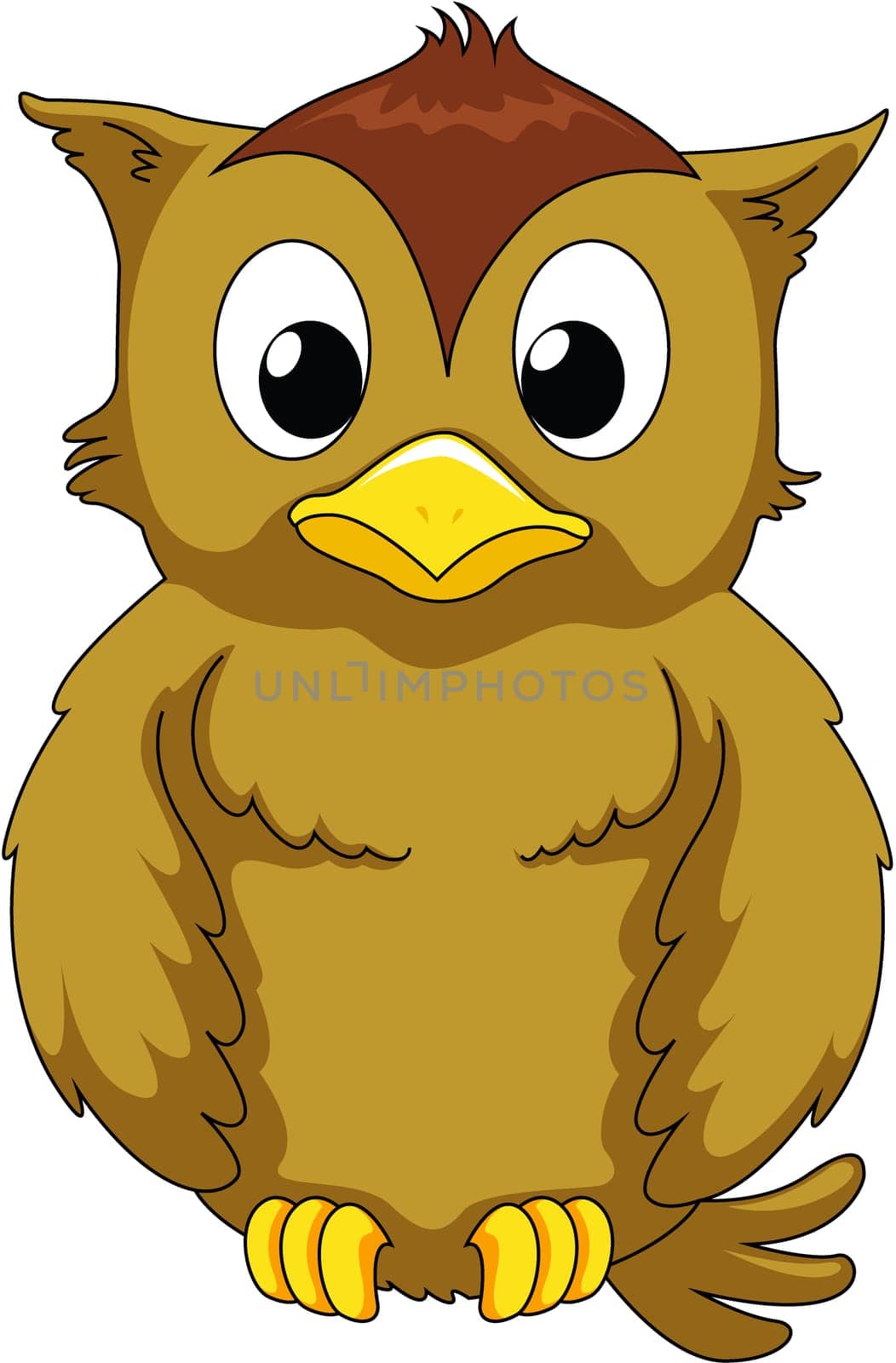 Illustration of wise owl on white