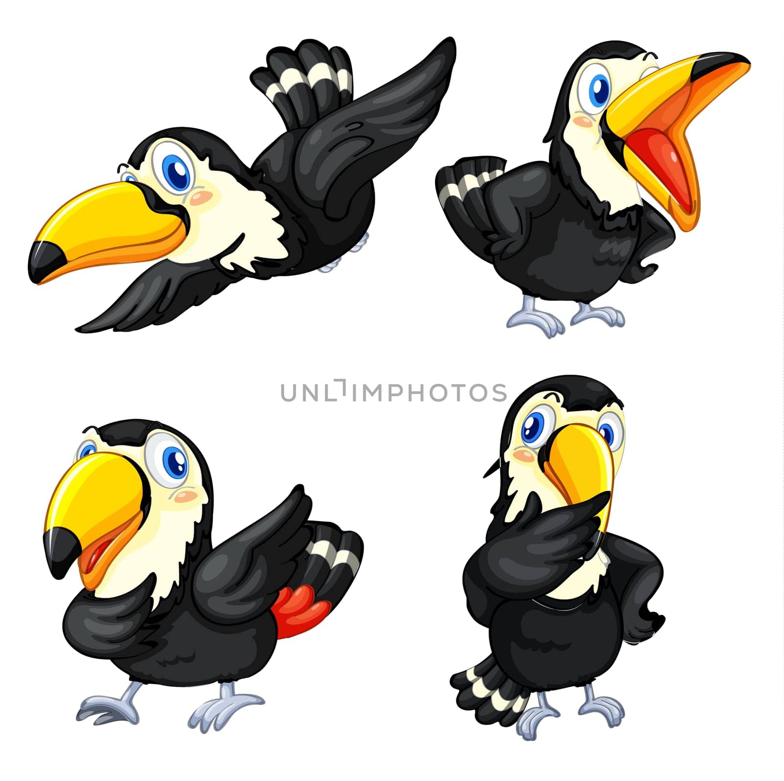 Illustraiton of toucan birds on white