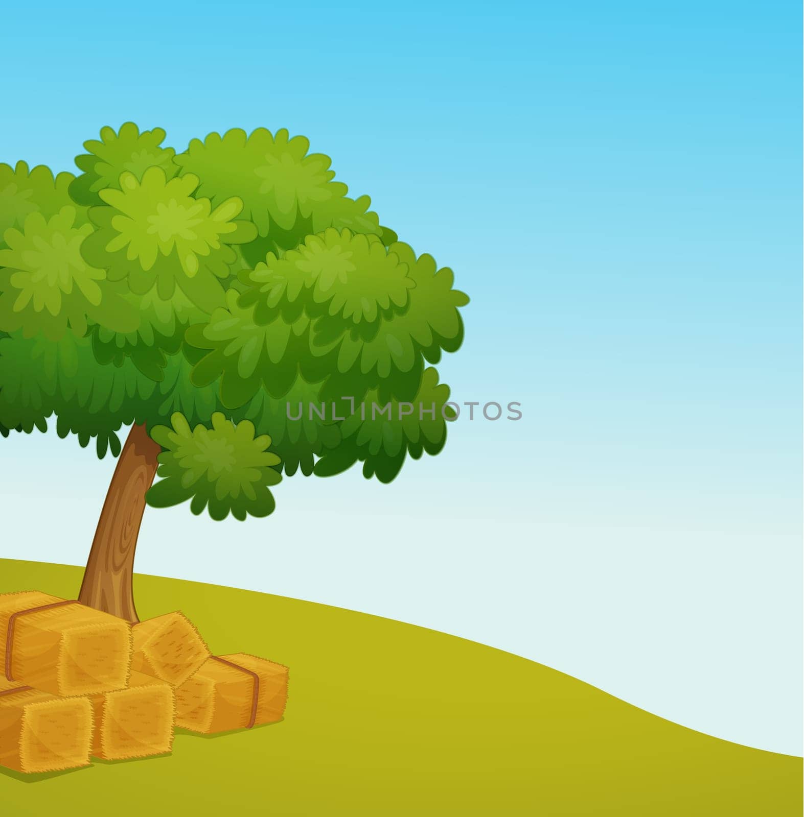 Illustration of an empty field with hay