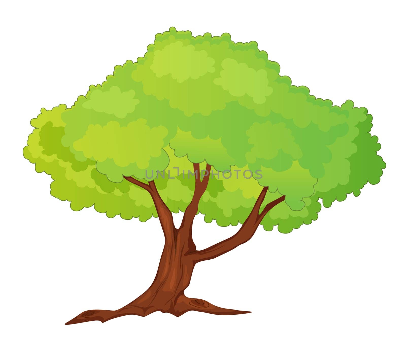 Illustration of single isolated tree - cartoon style