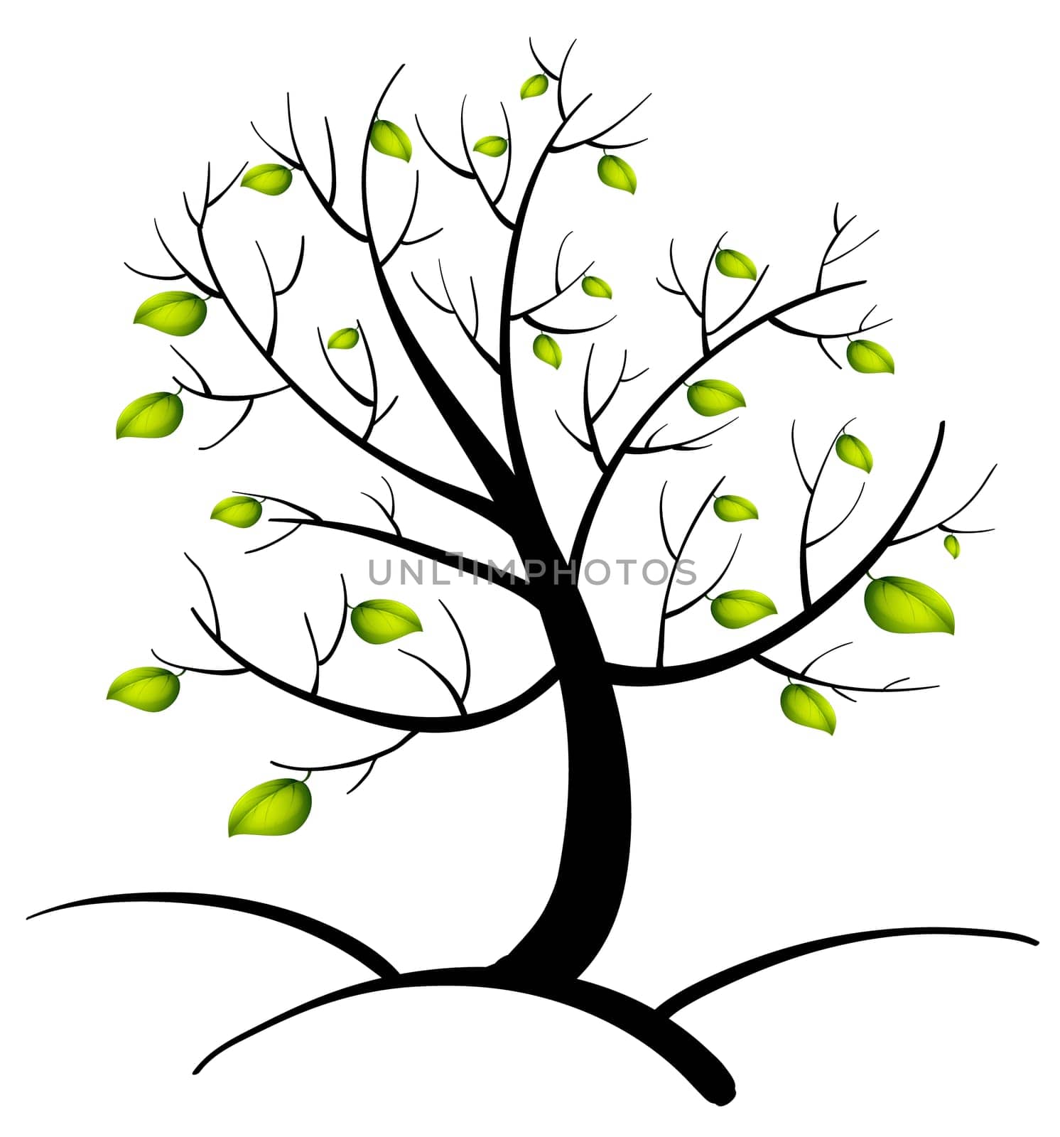 Illustration of the tree of life