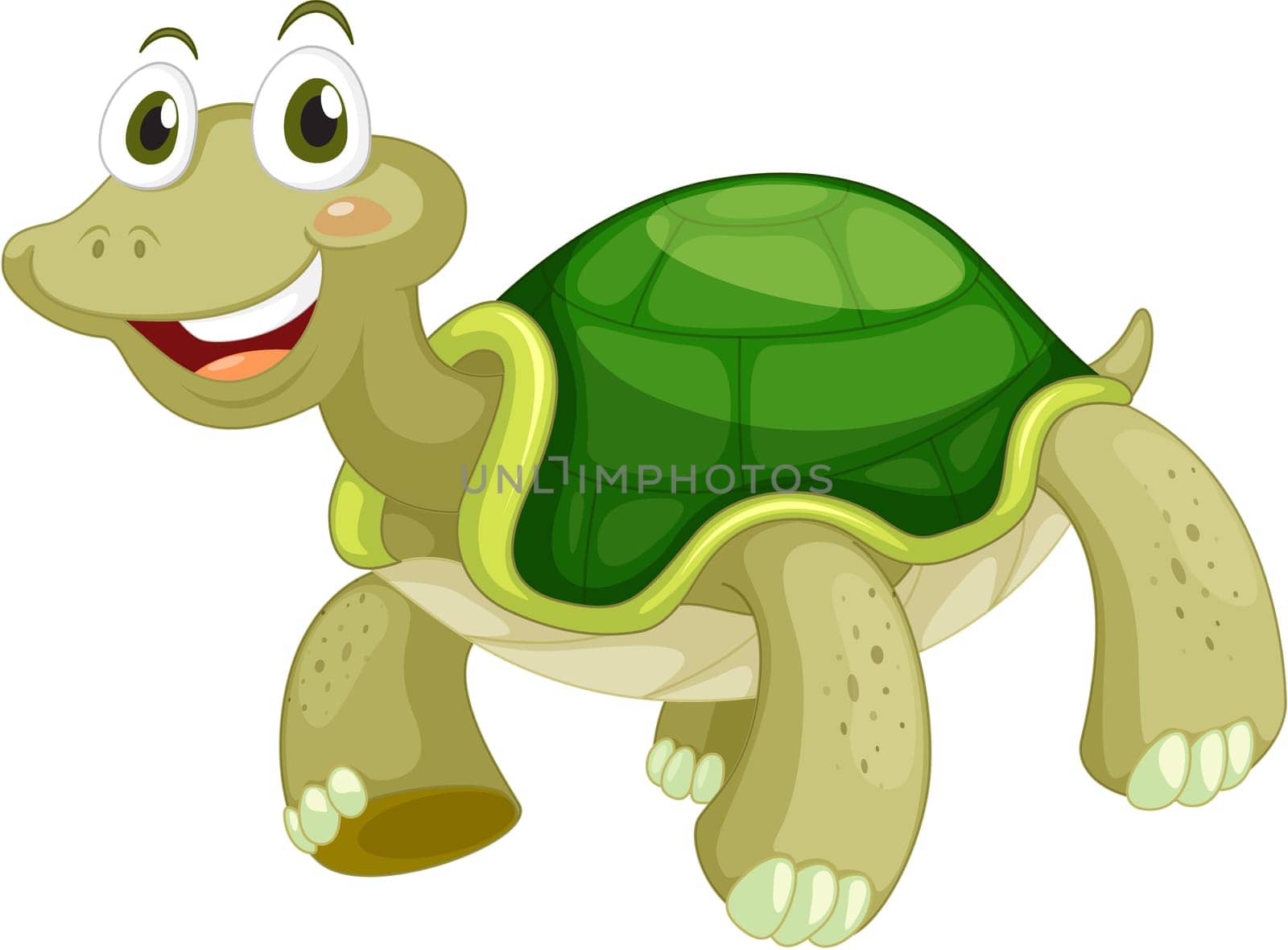Animated turtle on a white background