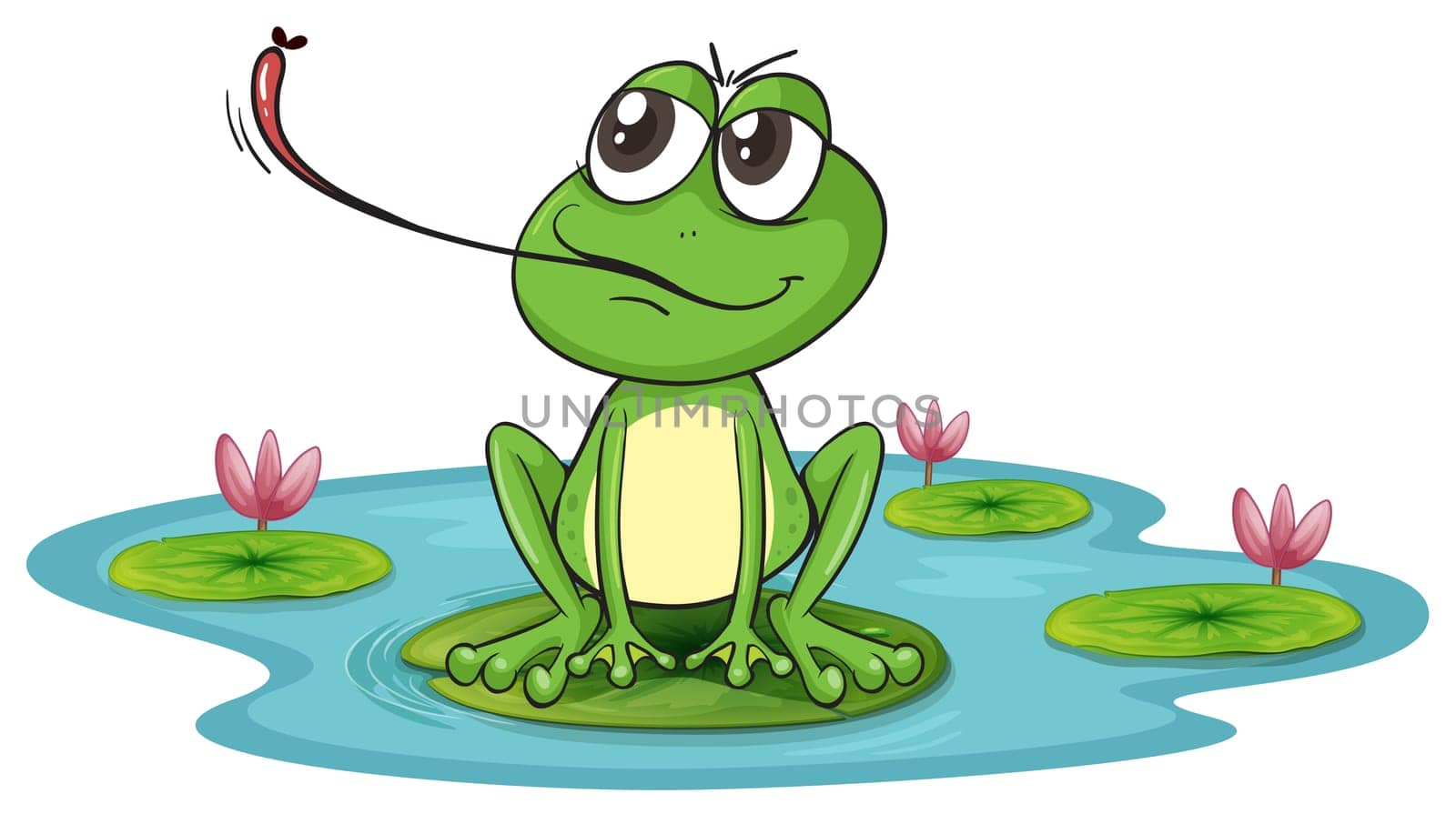 illustration of a frog on a white background