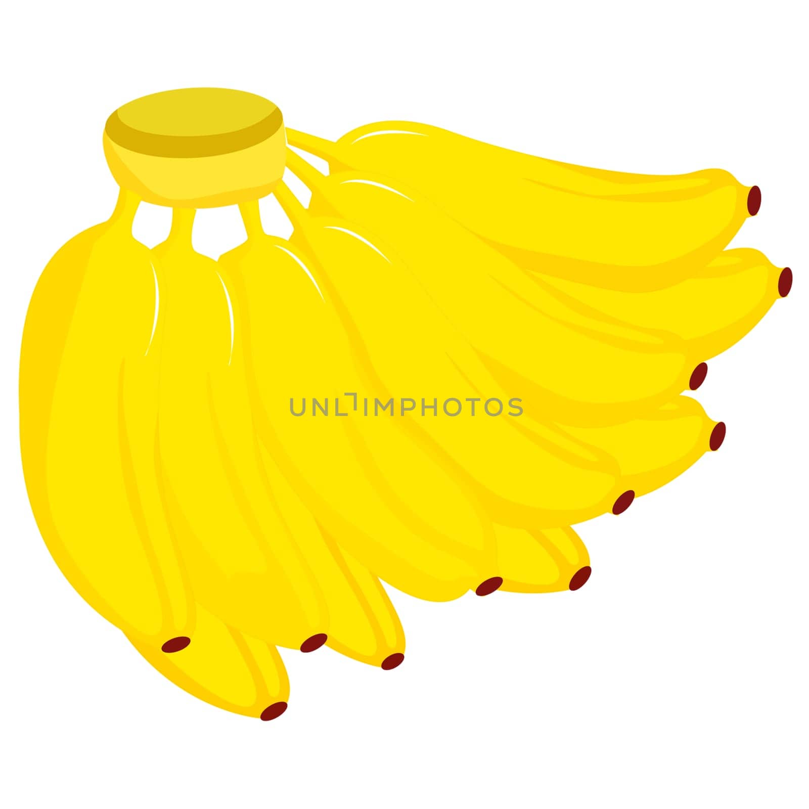 Illustration of big bunch of bananas