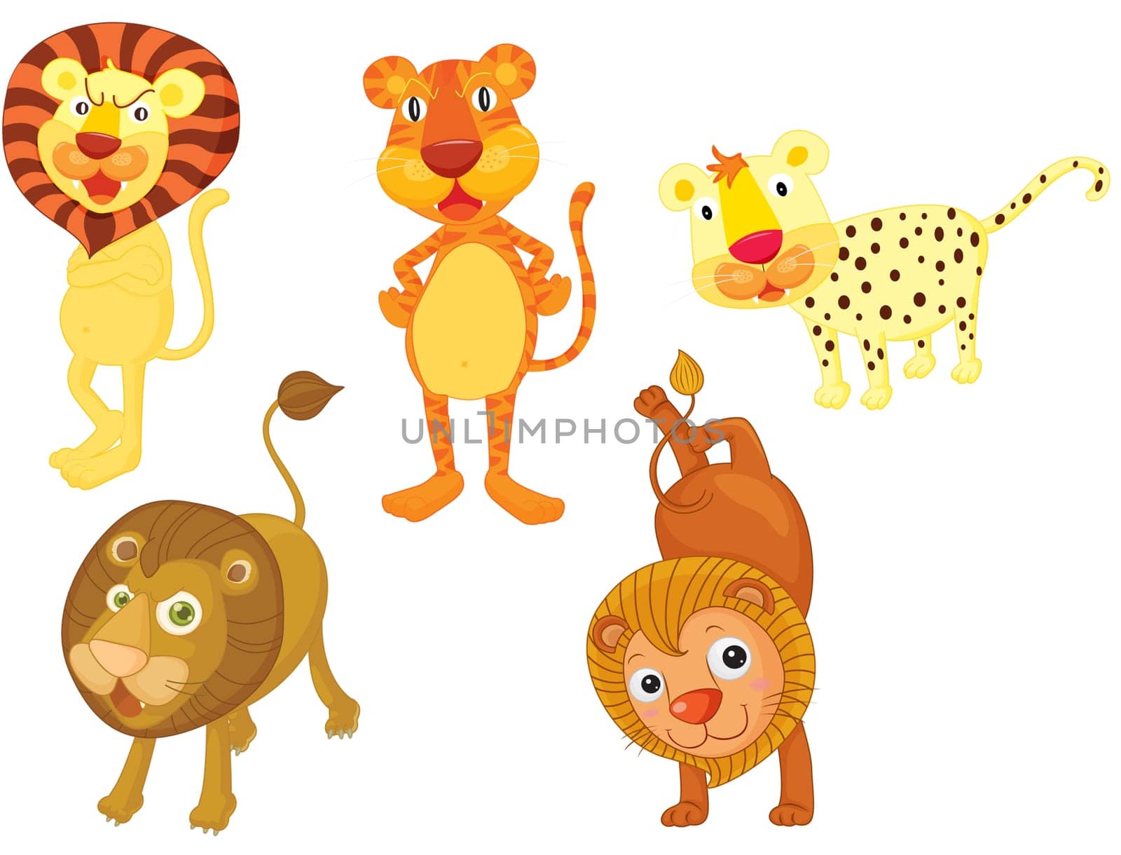 an illustration of differnt lions and tigers