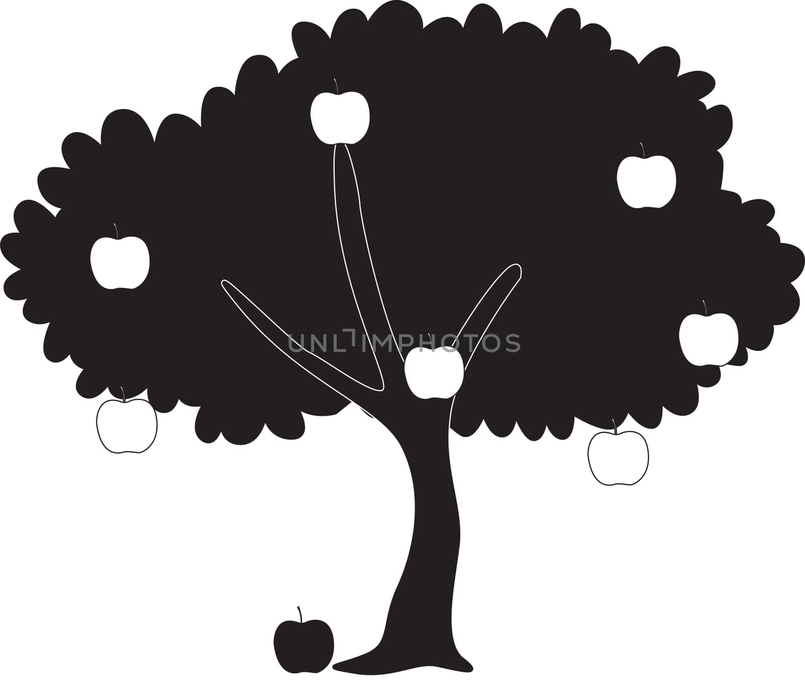illustration of shadow of apple tree