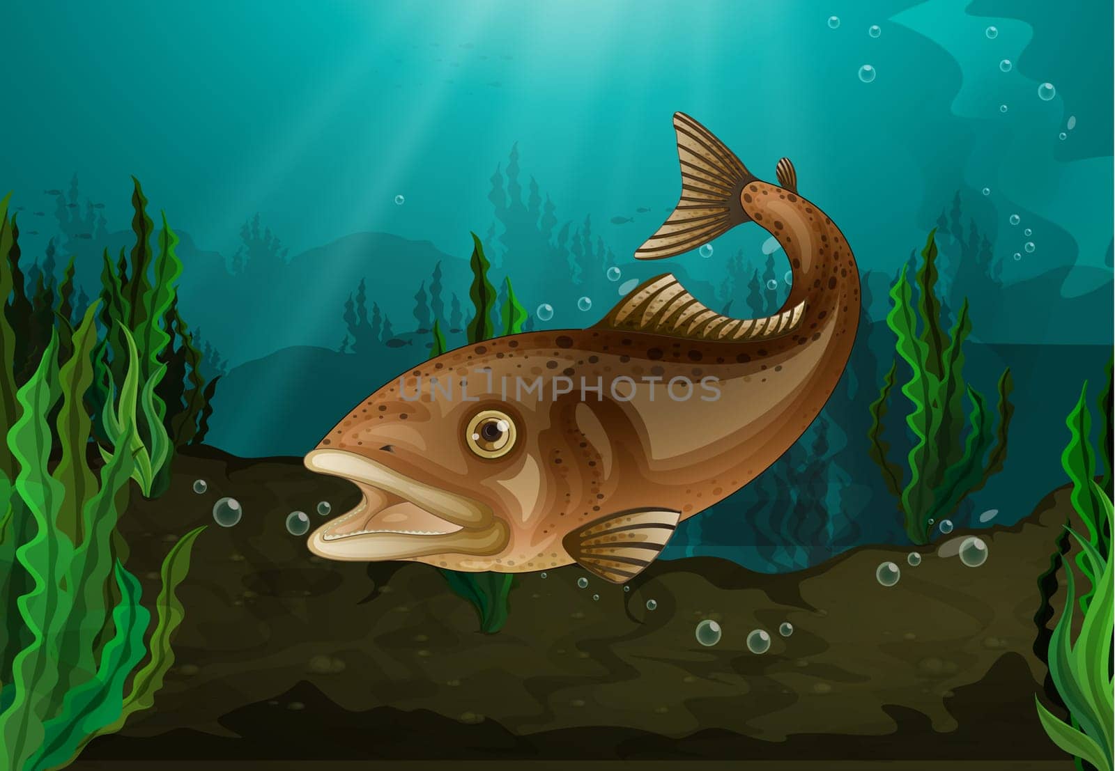 Freshwater fish in underwater habitat