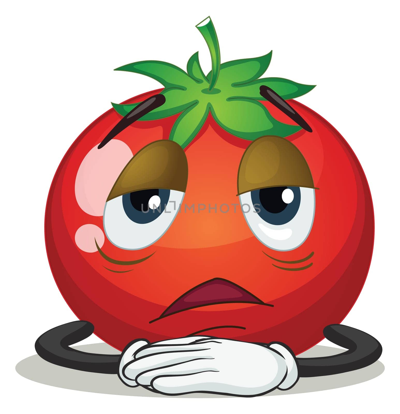 illustration of a tomato on a white background