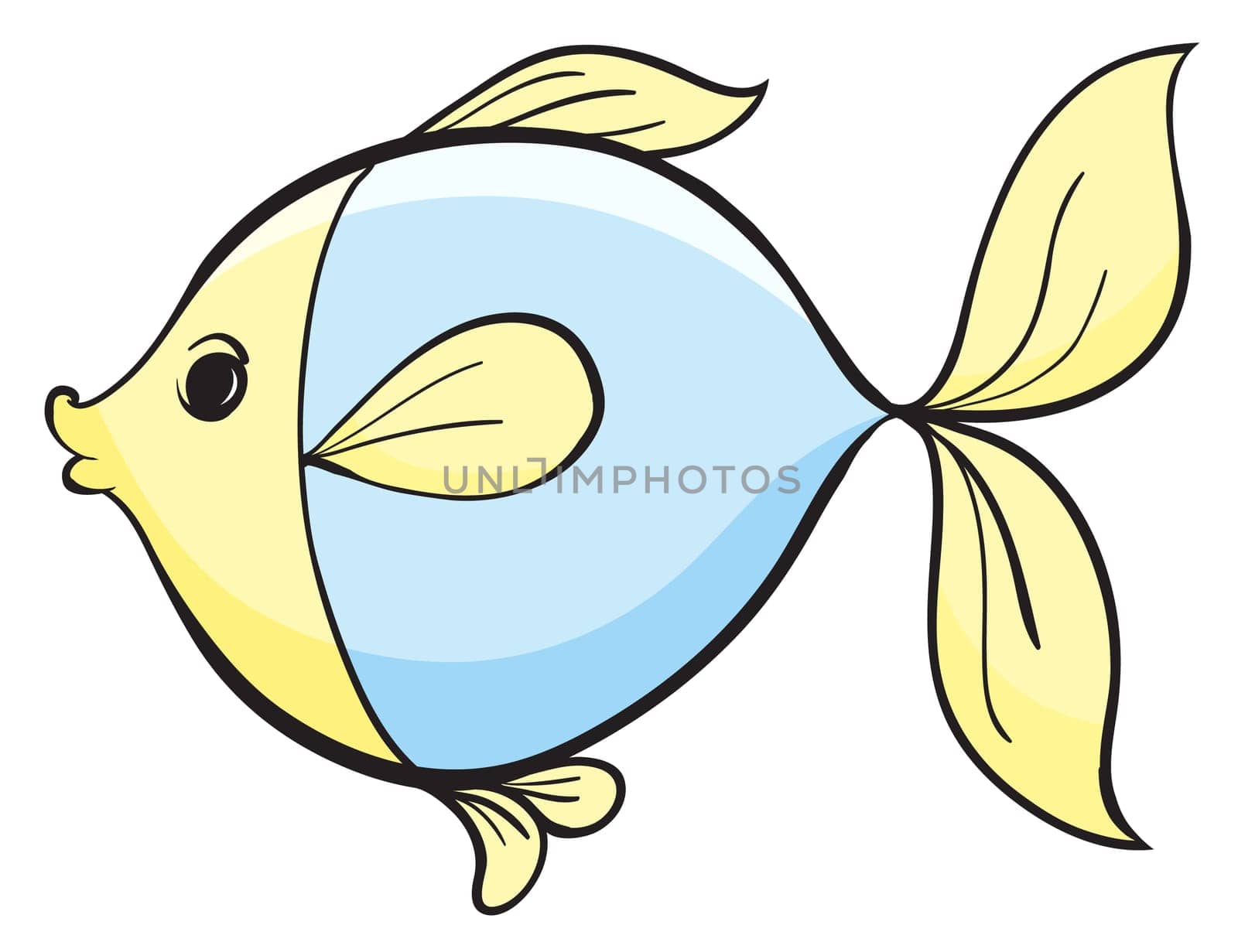 illustration of a fish on a white background
