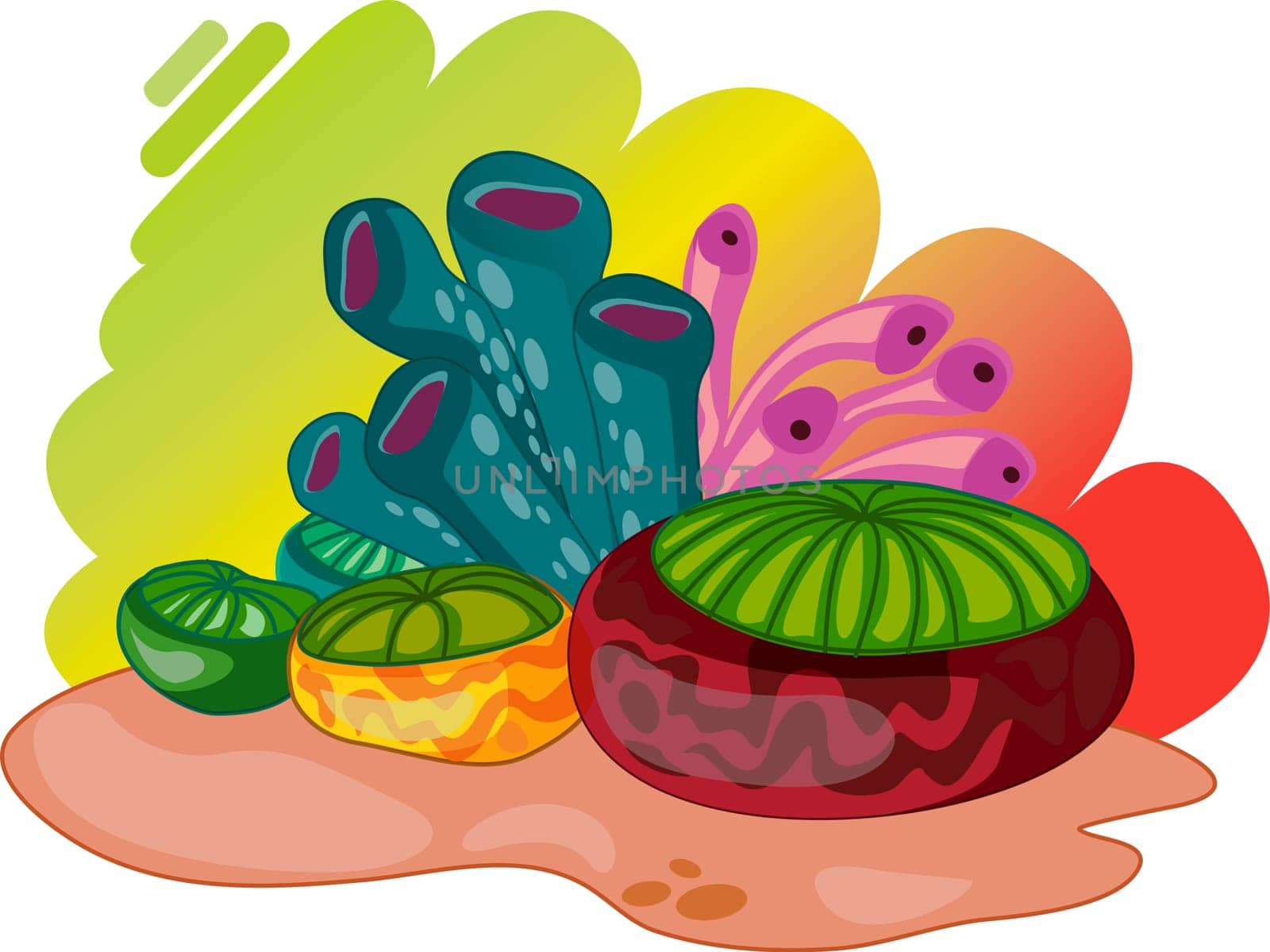 A variety of colourful oceanic plants