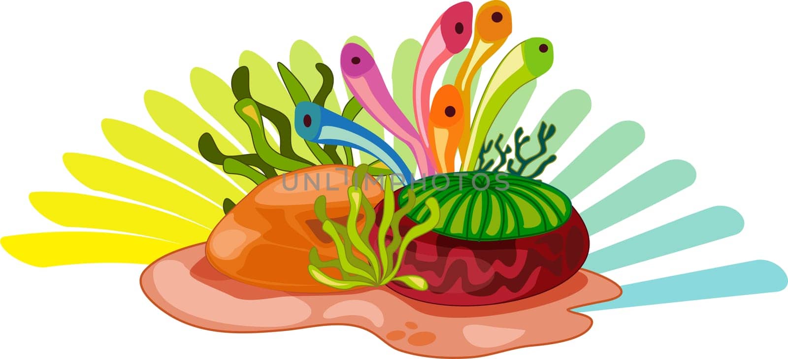Colourful aquatic plants on white background