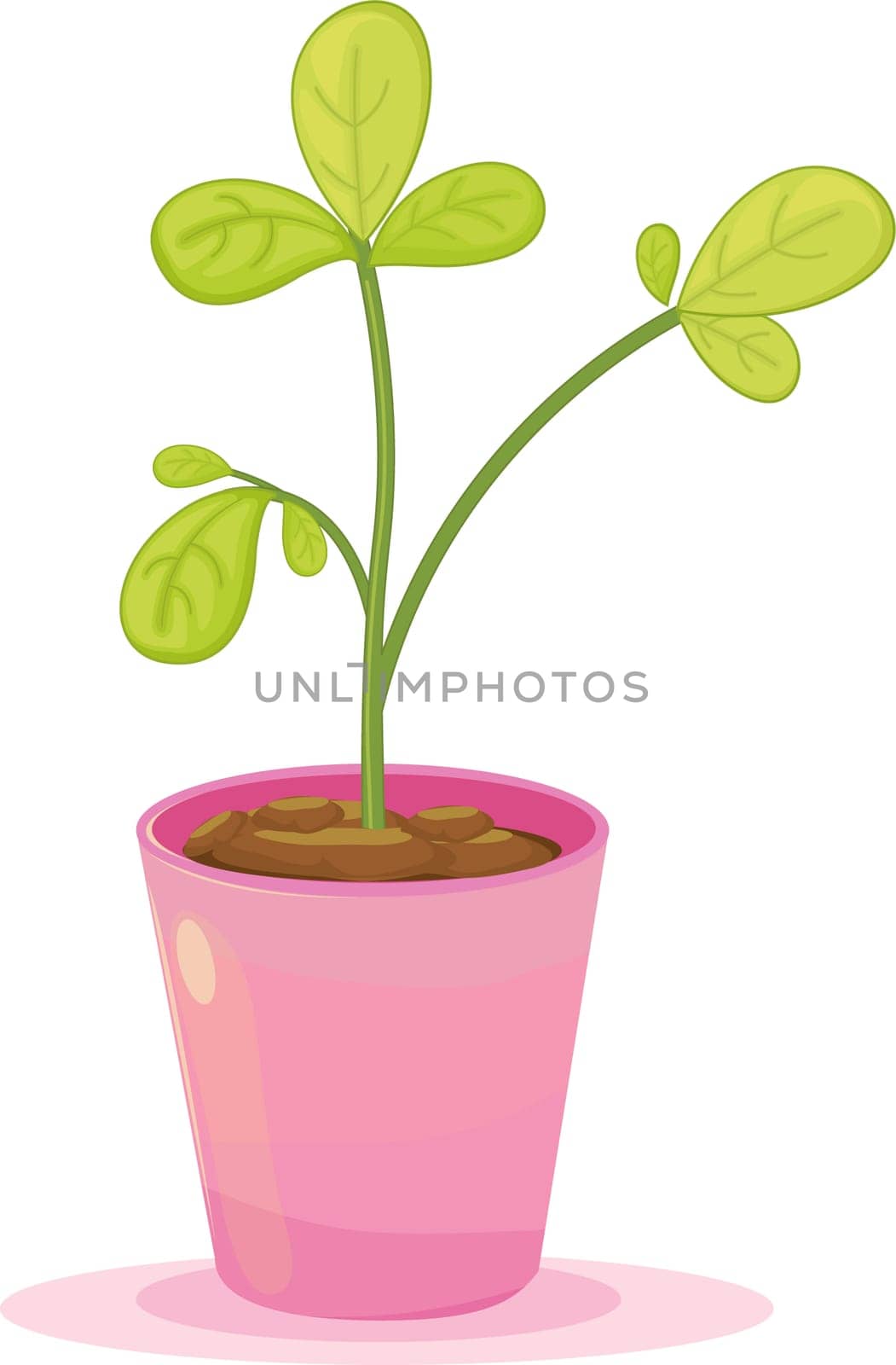 Leafy plant inside a pink flower pot