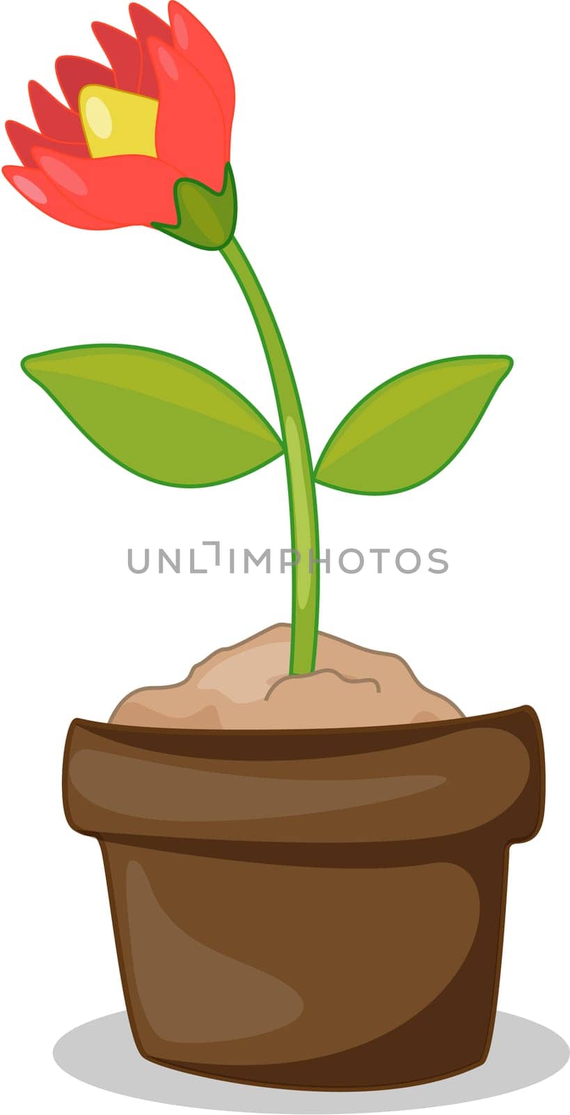 illustration of flower pots on white