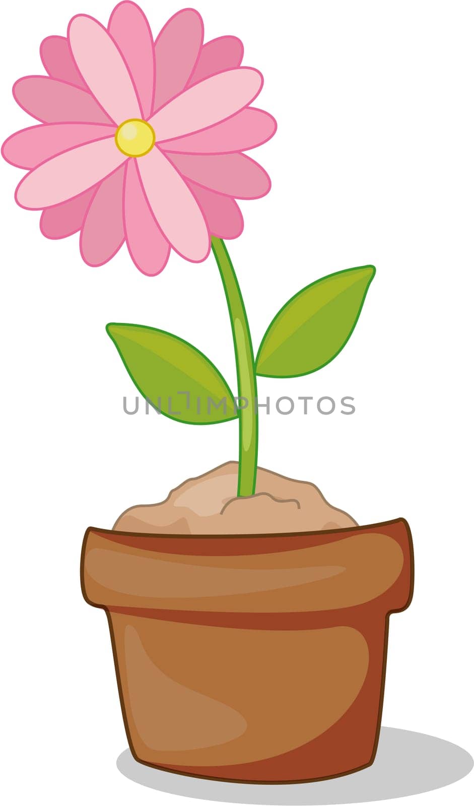 Pink flower in full bloom inside pot