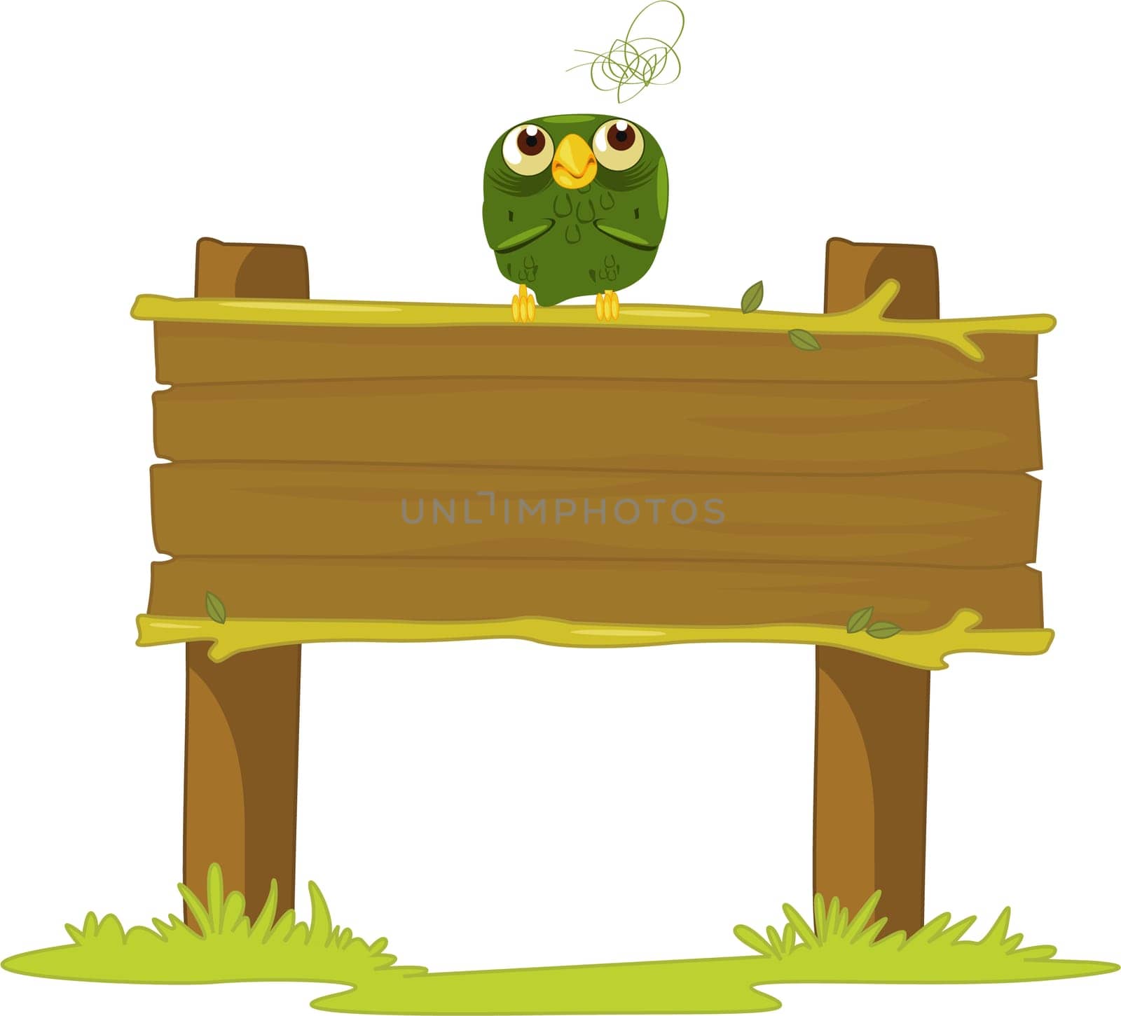 Old owl on a sign post