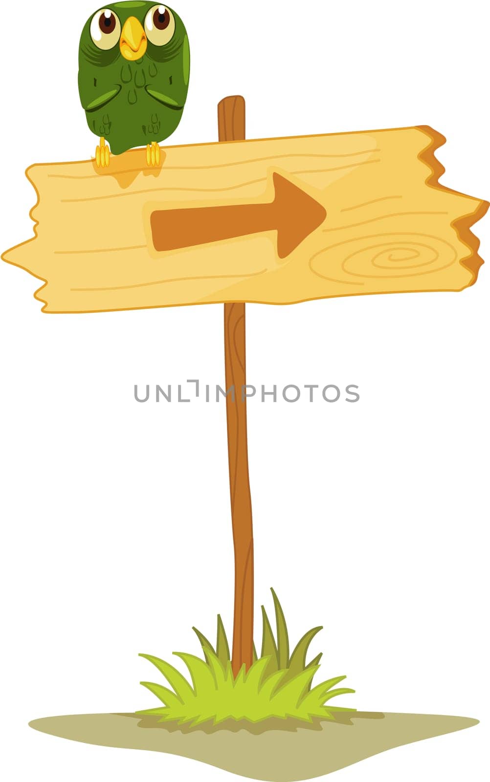 Owl on a directional post