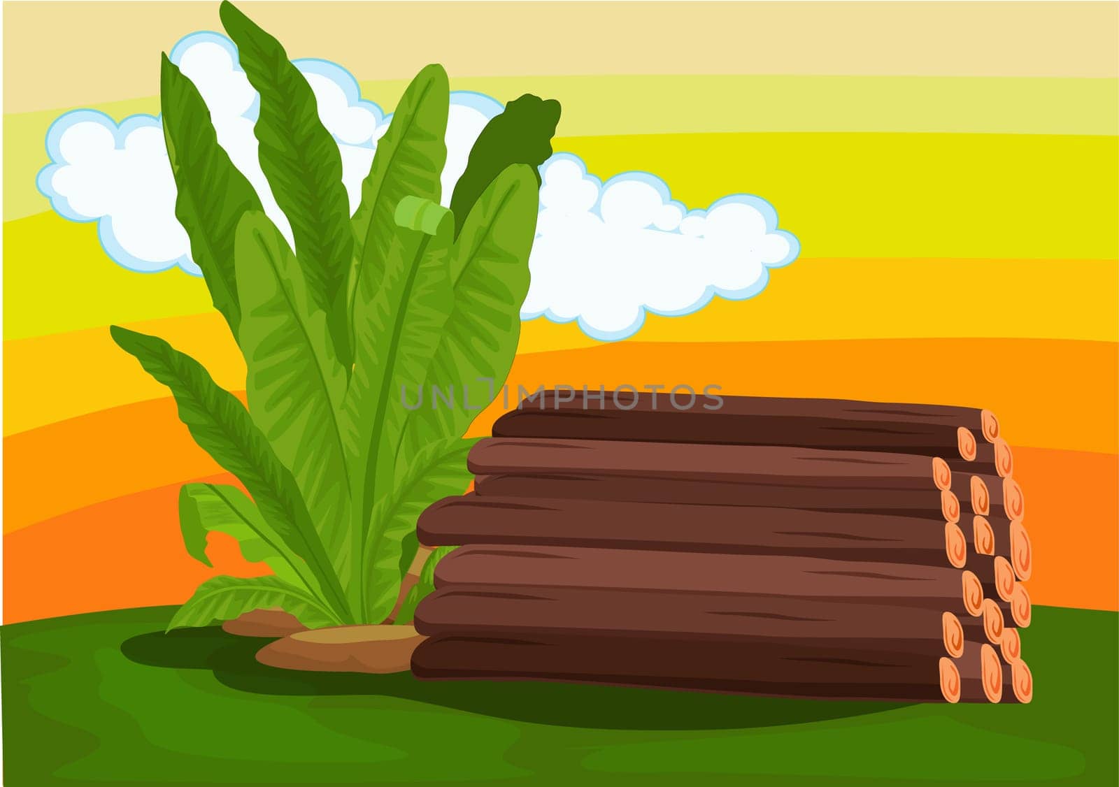 Pile of logs and a plant