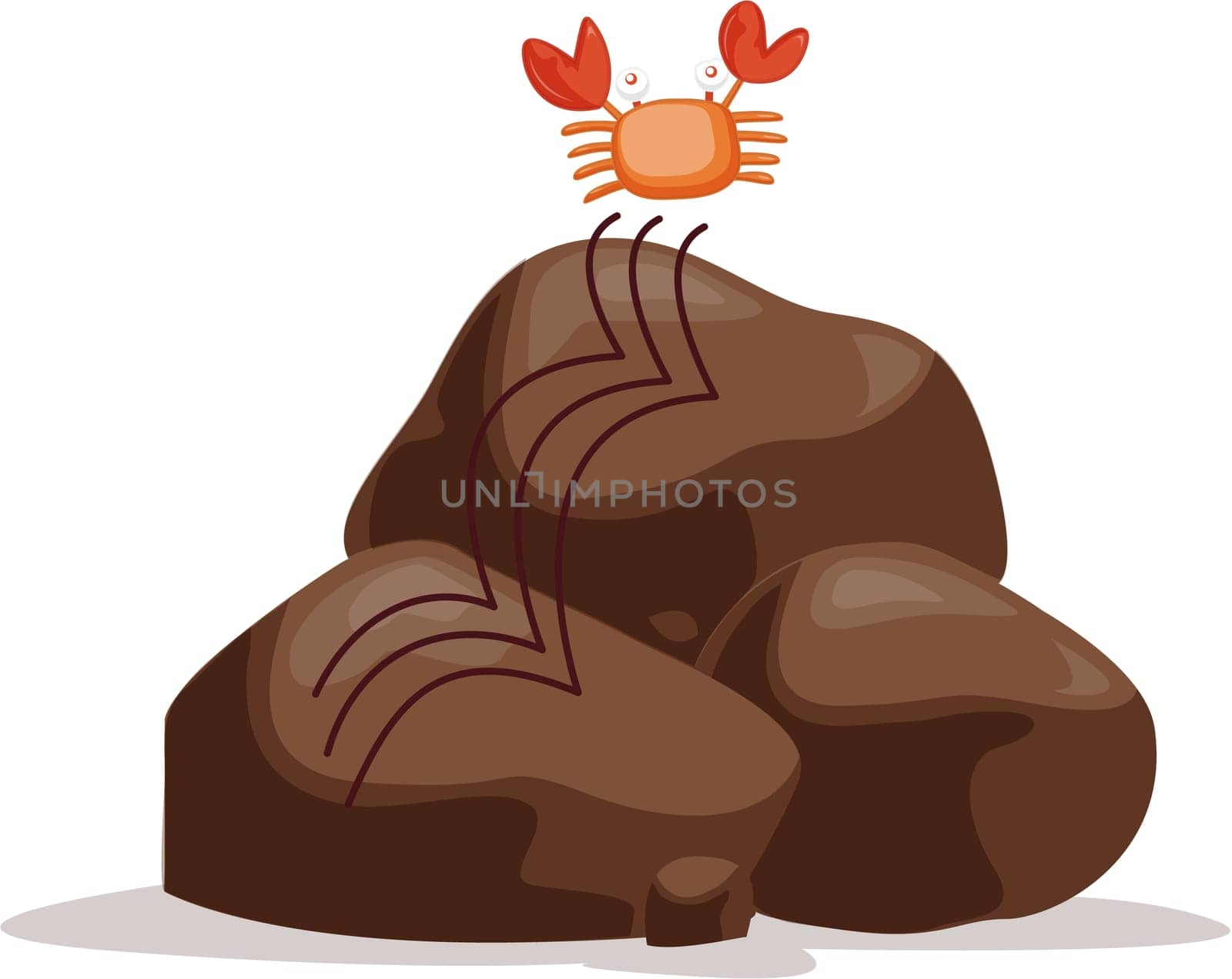 illustration of crab on rocks