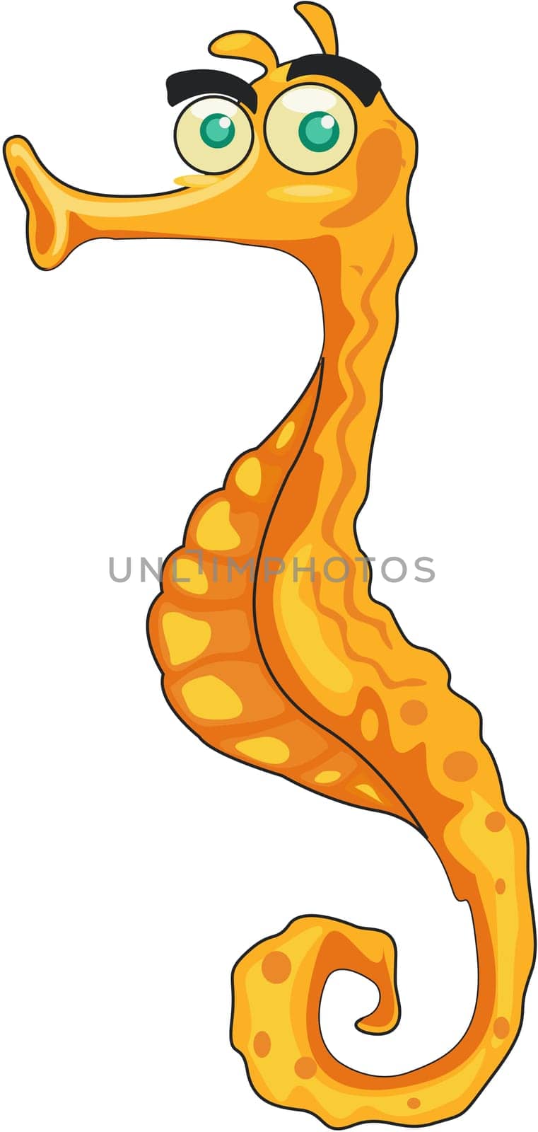 Illustration of  a seahorse on white