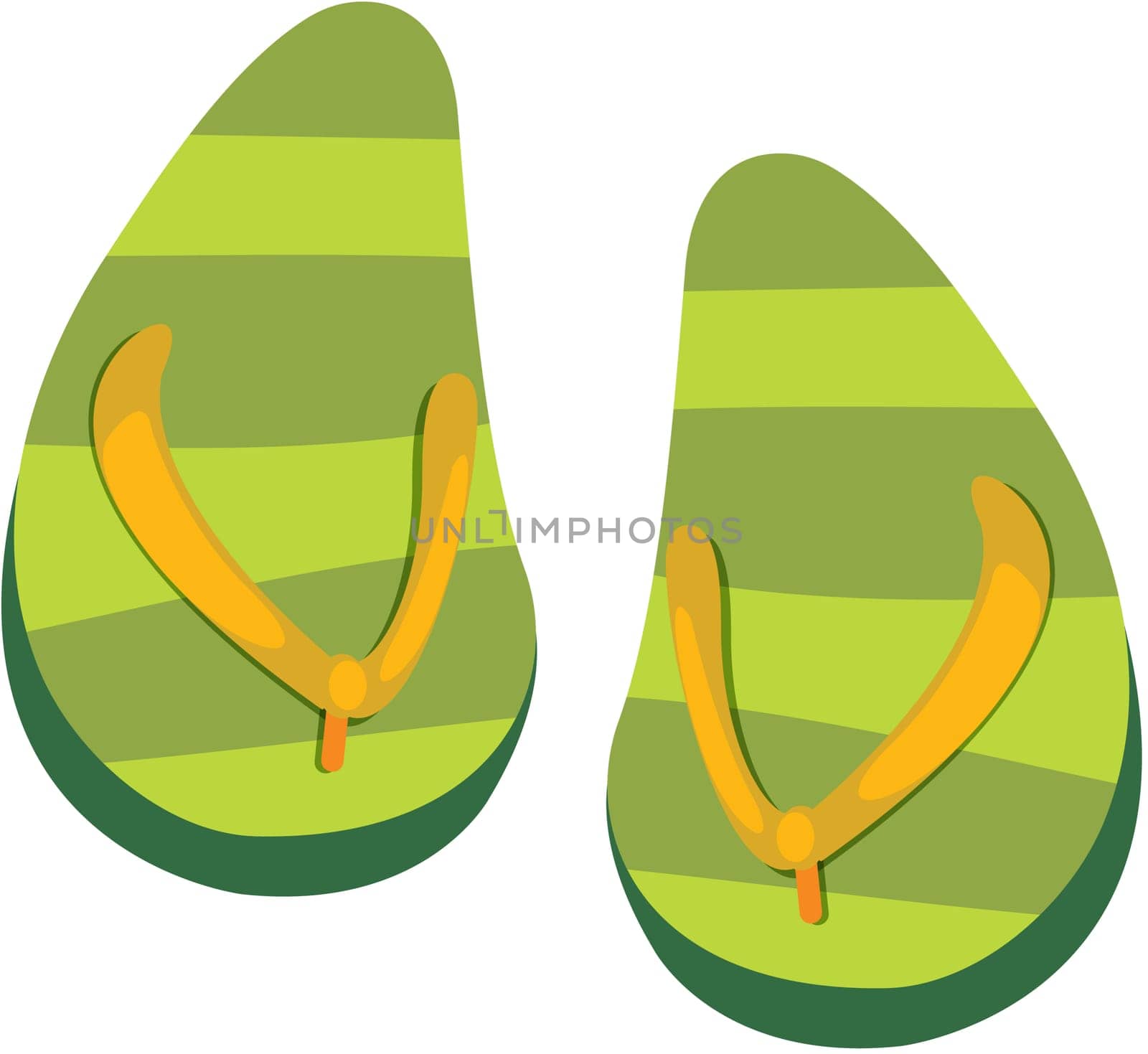 illustration of slippers on white