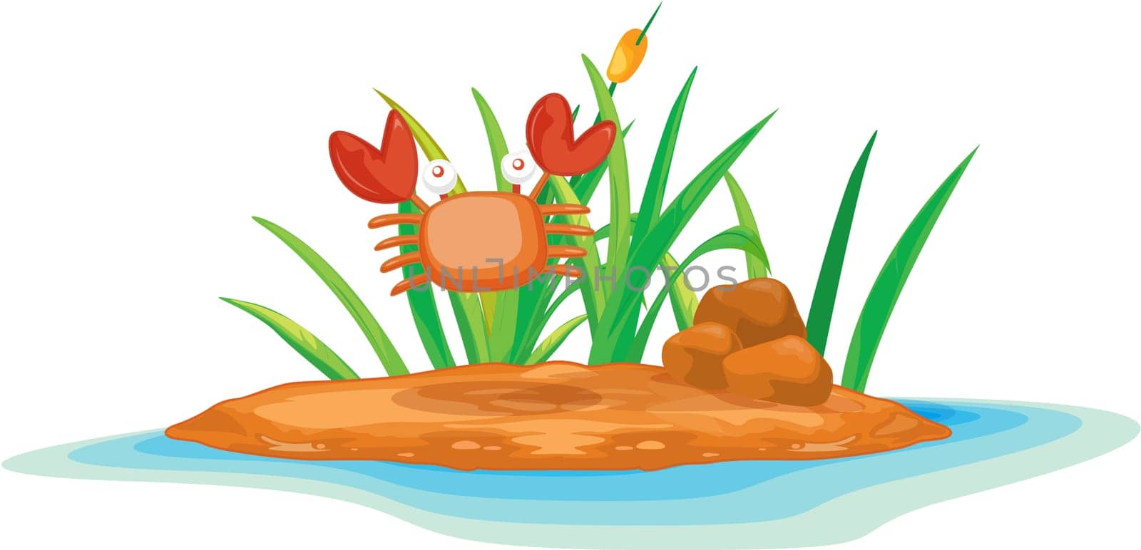 illustration of a crab on island