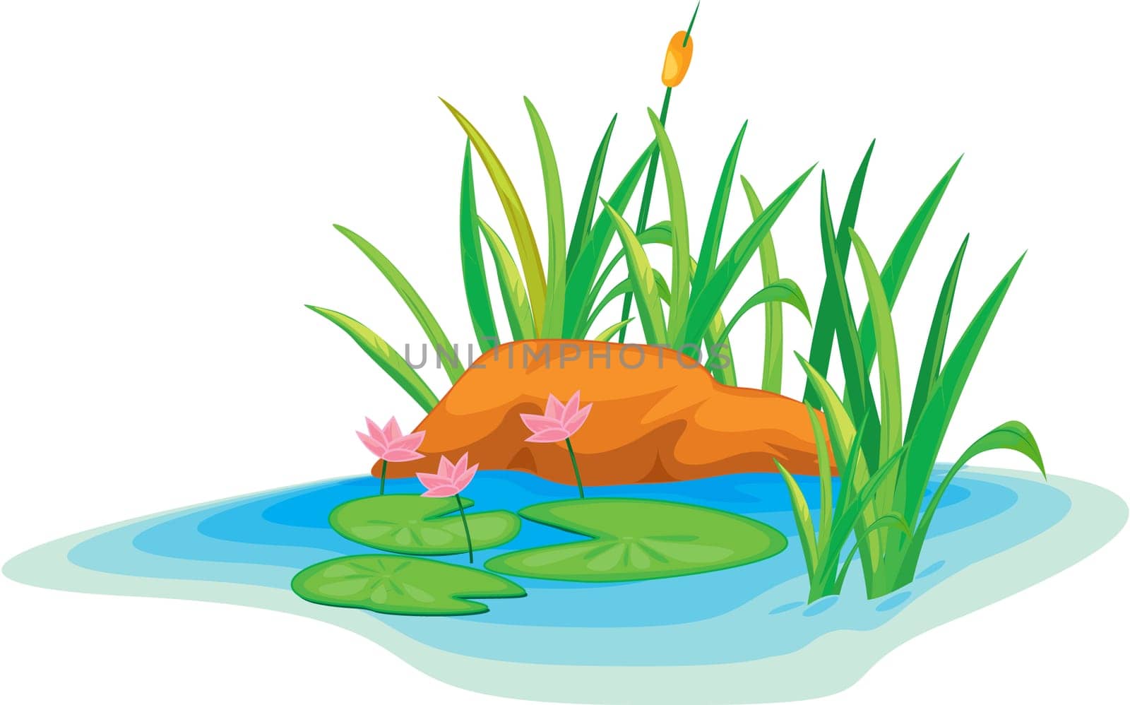 illustration of island on white