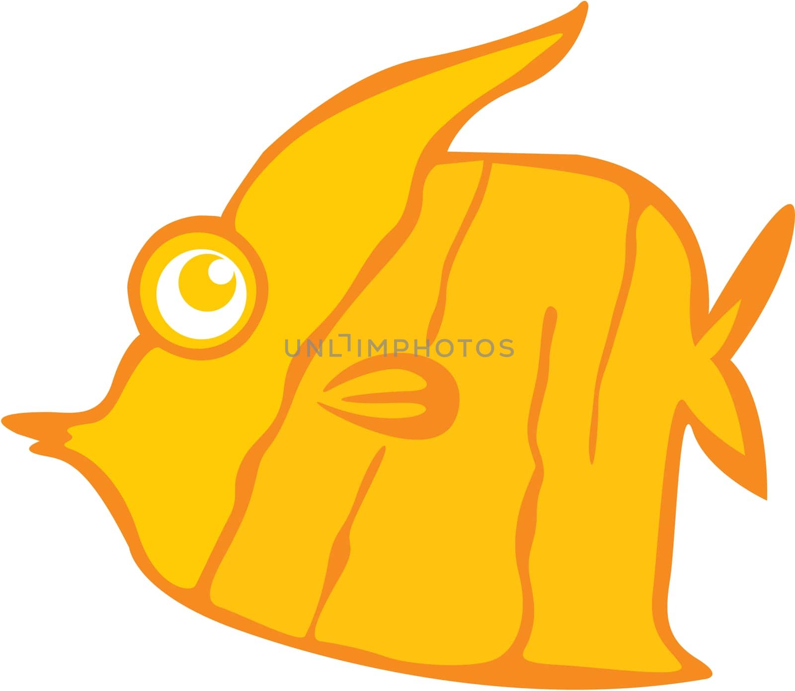 illustration of fish on white
